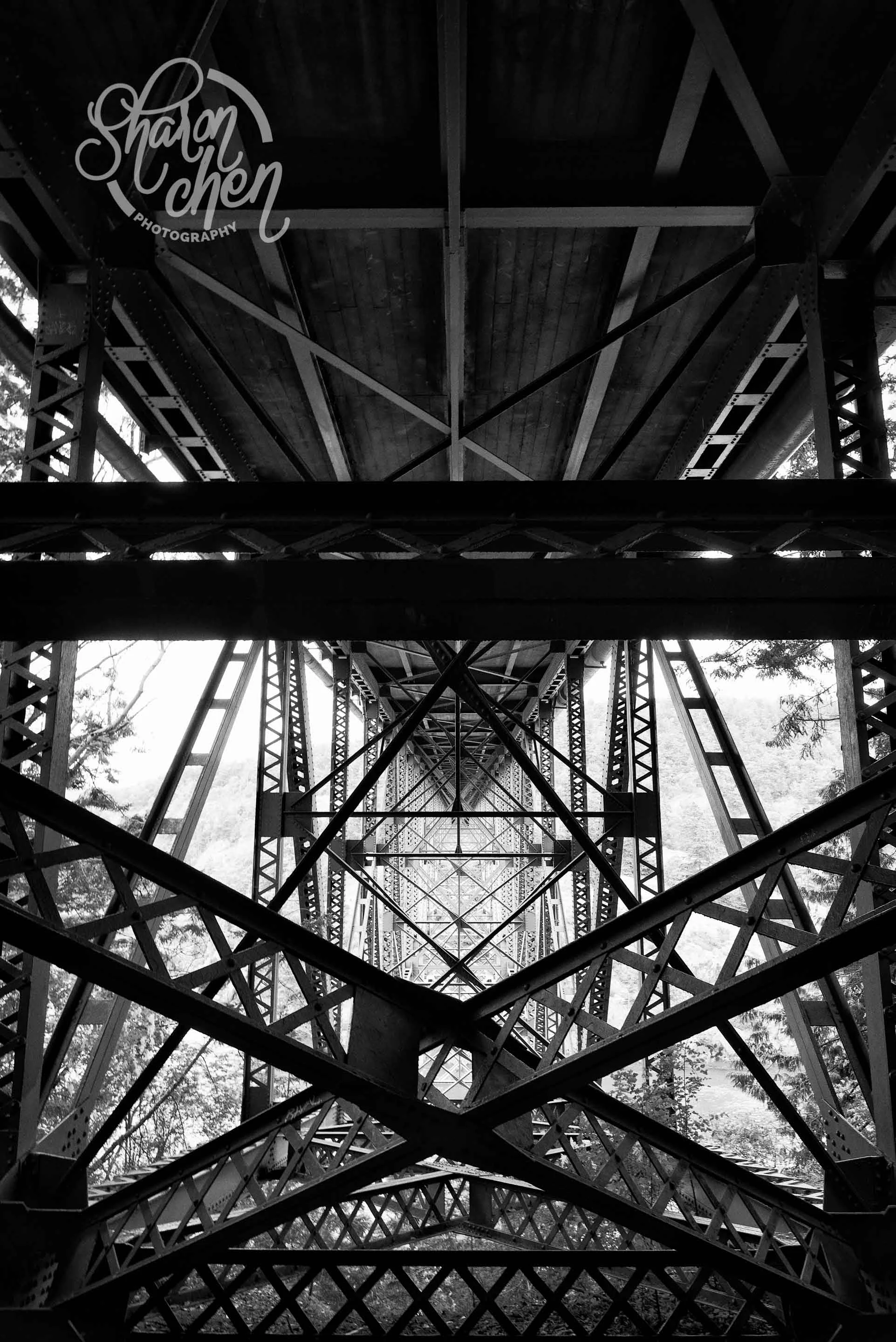 DSC_7235-Edit.jpg