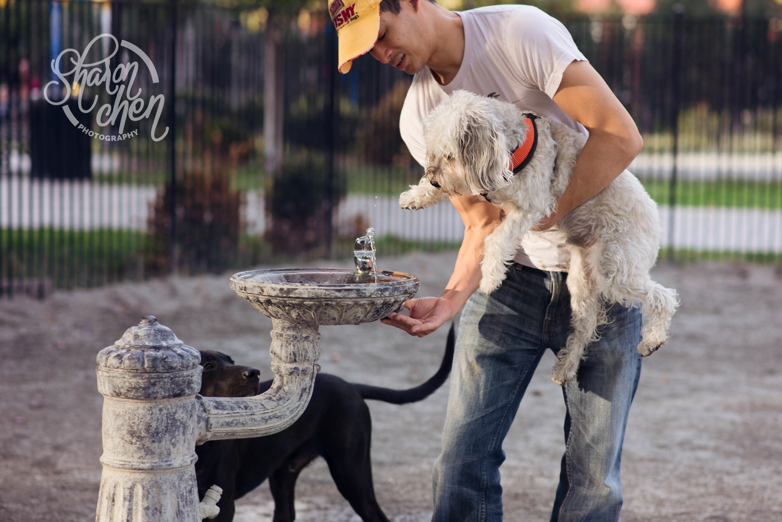 Not quite tall enough to reach the water fountain.