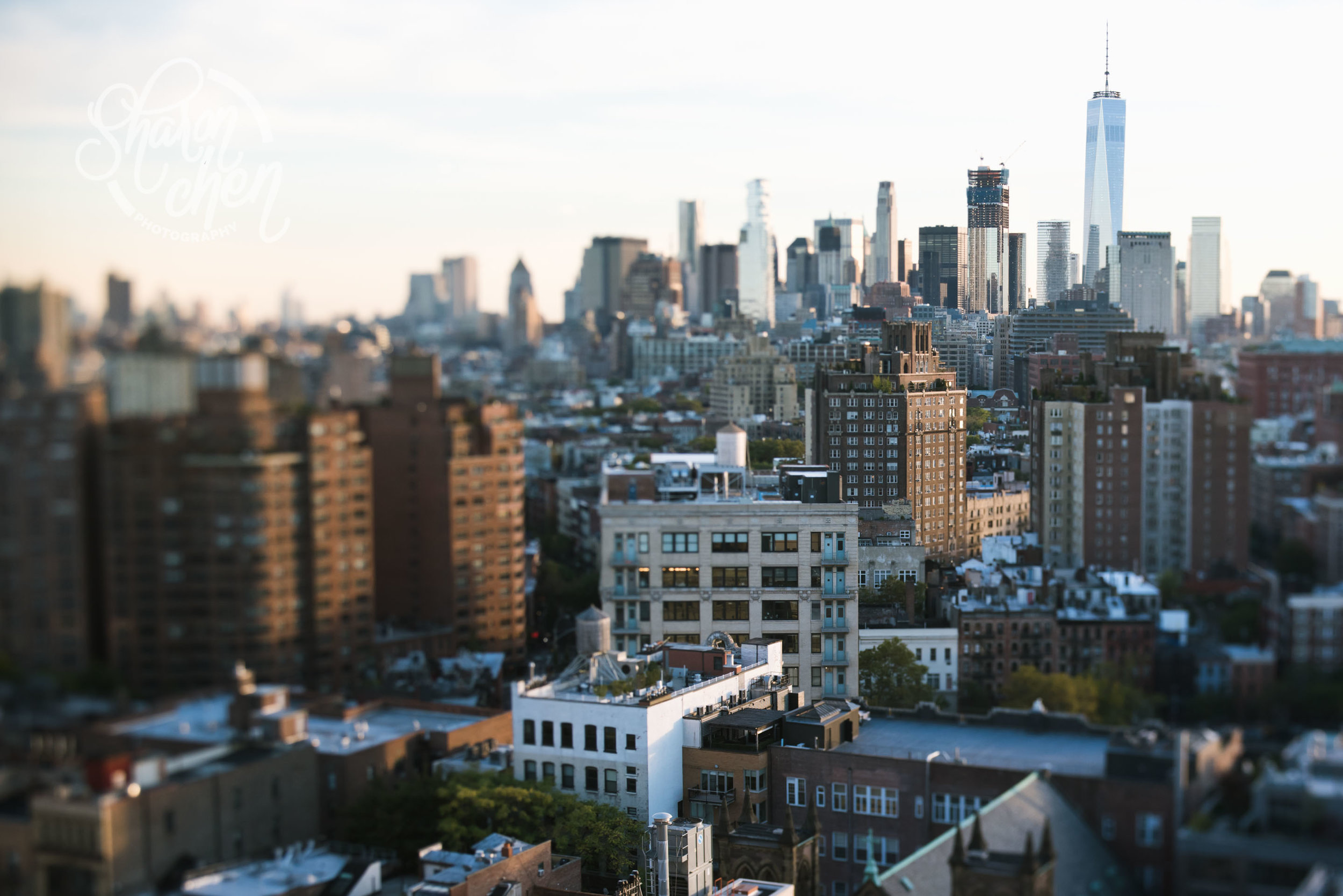 The downtown skyline.