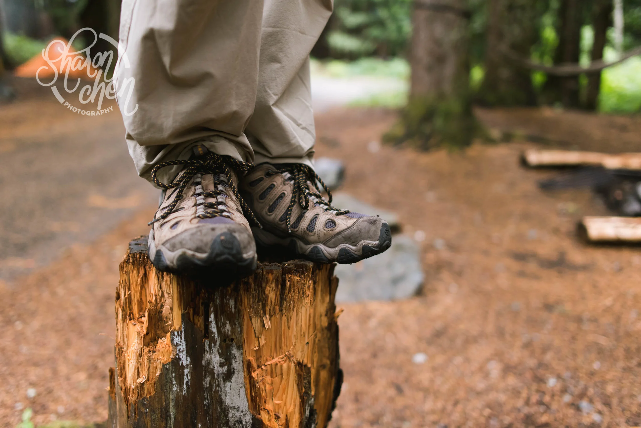 Campgrounds, set.