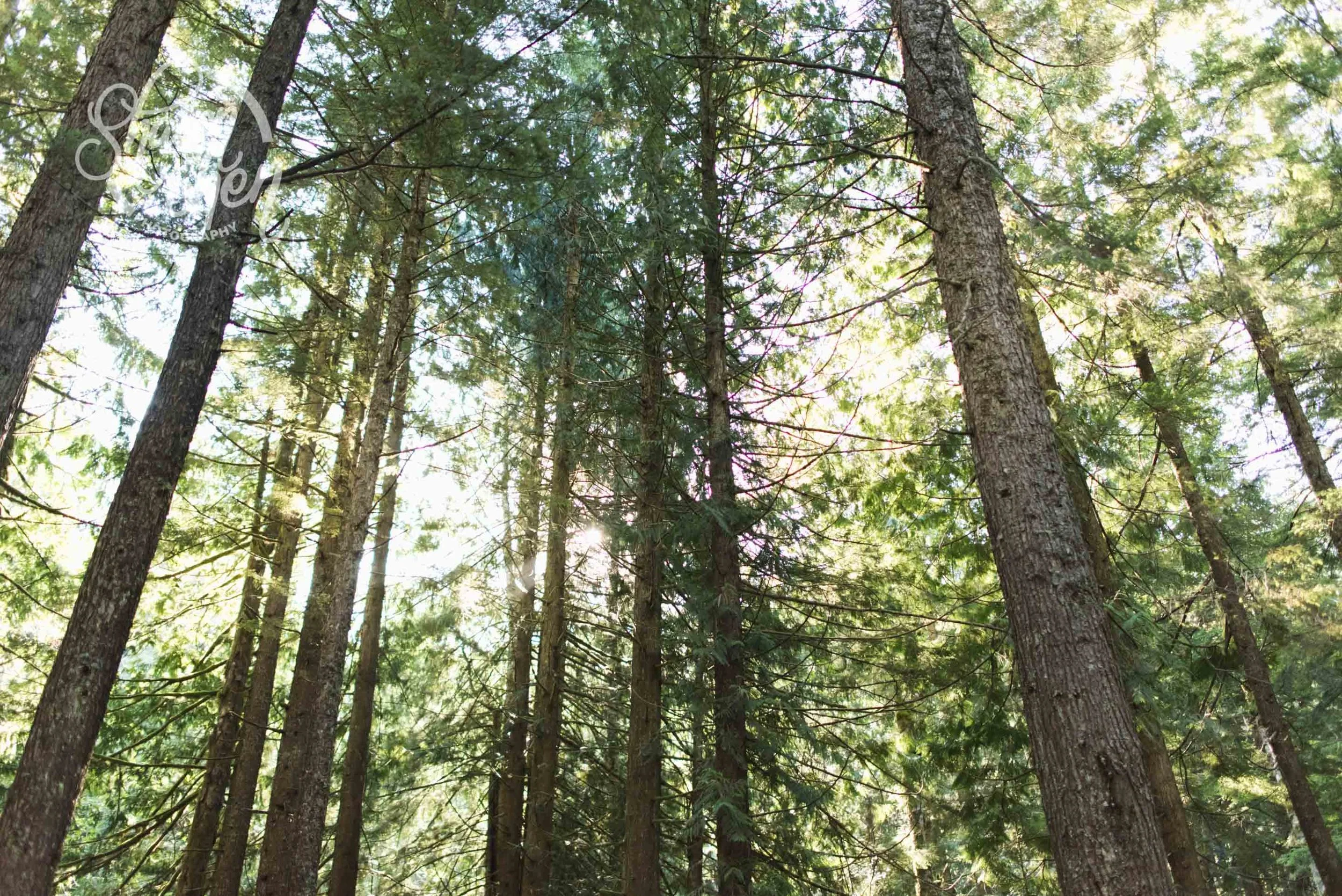 DSC_0797.jpg