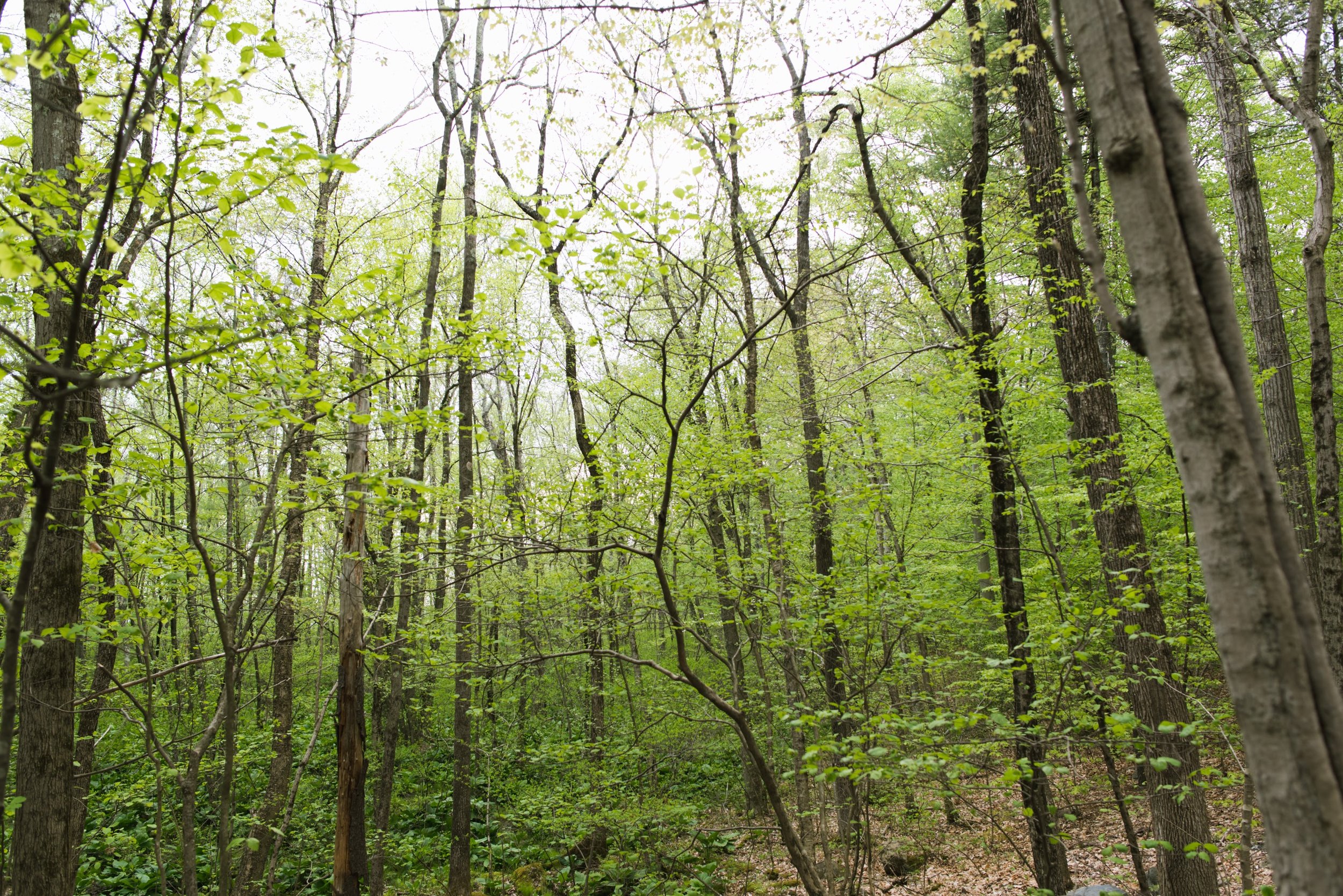 DSC_5366.jpg
