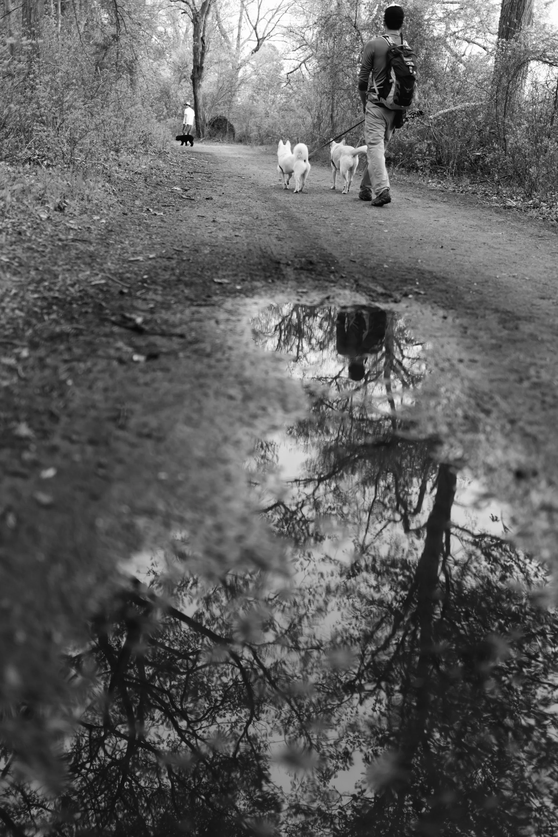 DSC_5385-Edit.jpg