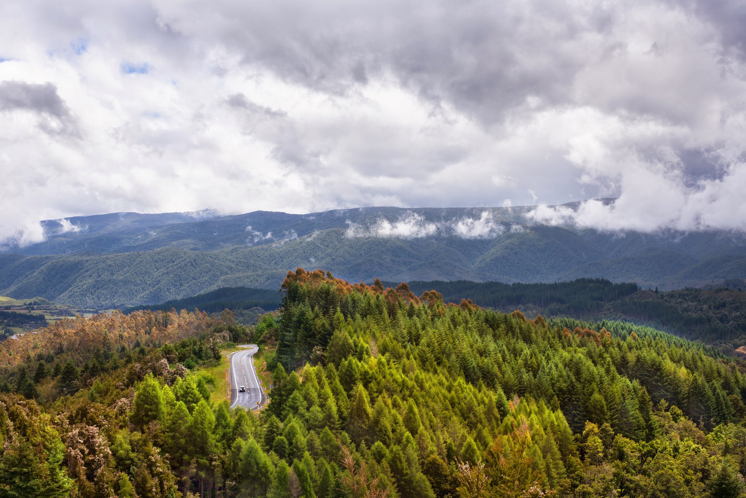 DSC_4694-Edit-2.jpg