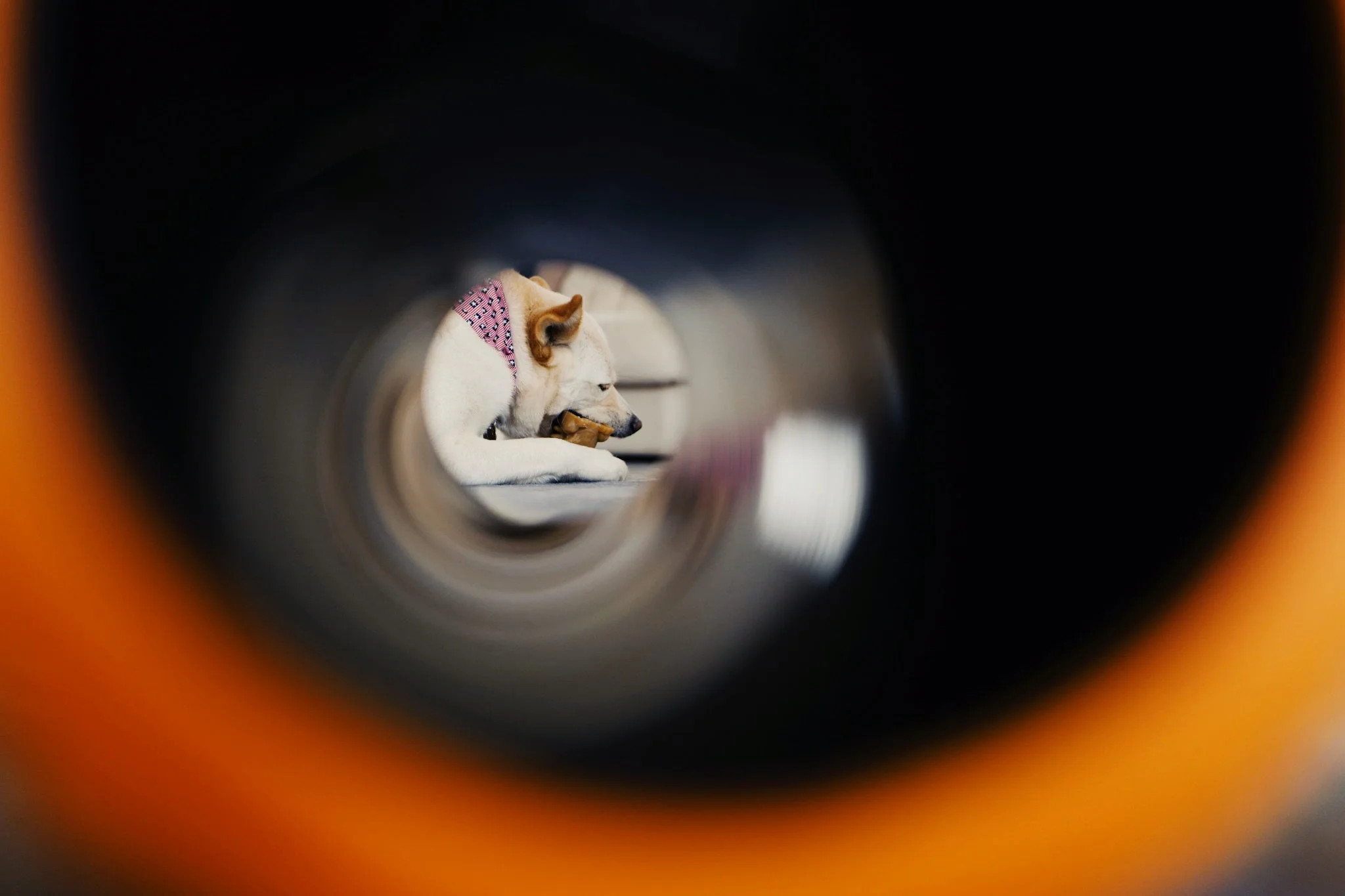 2018-04-07 01.35.44 1.jpg