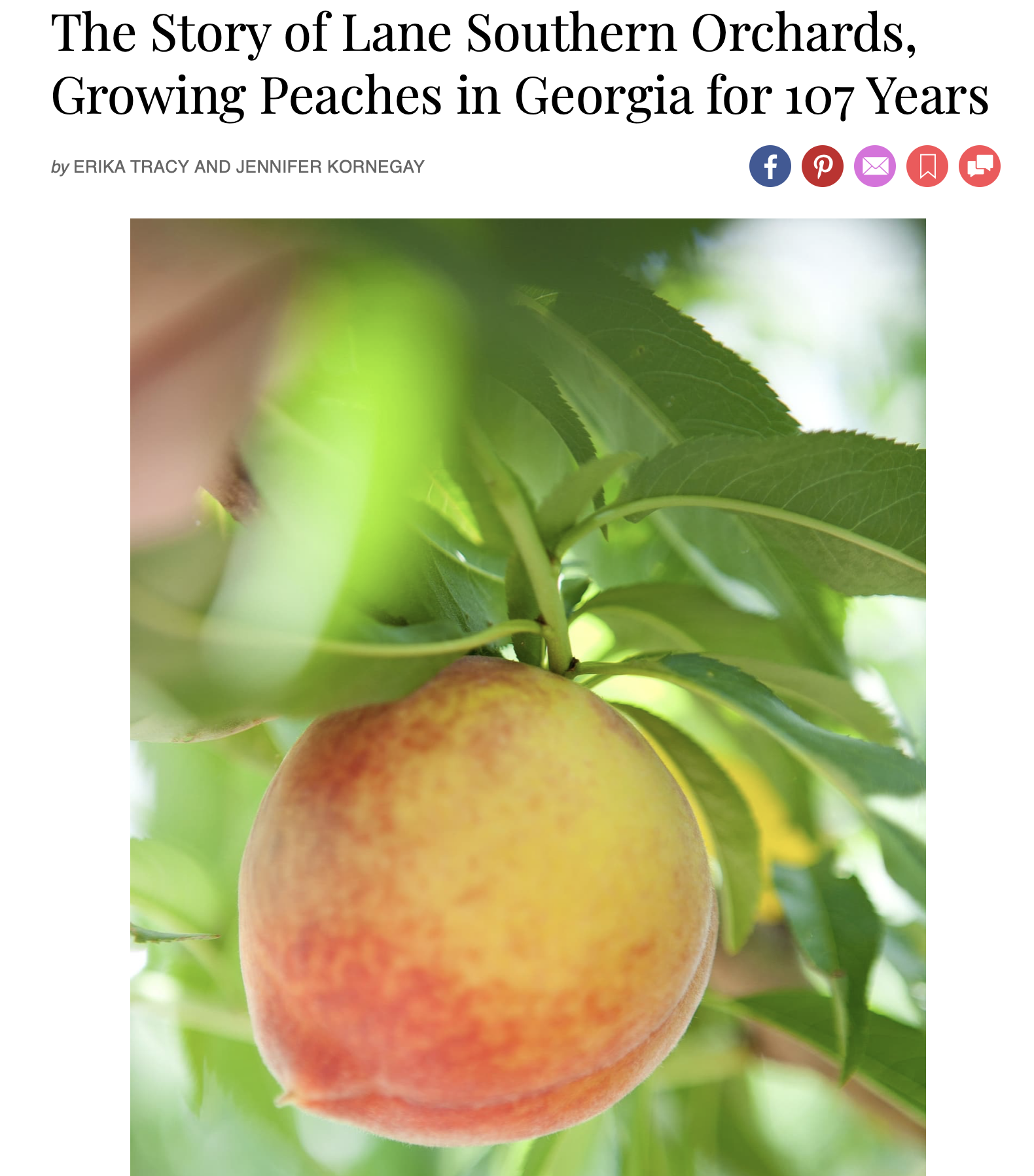 Screen Shot 2019-07-29 at 4.15.27 PM.png