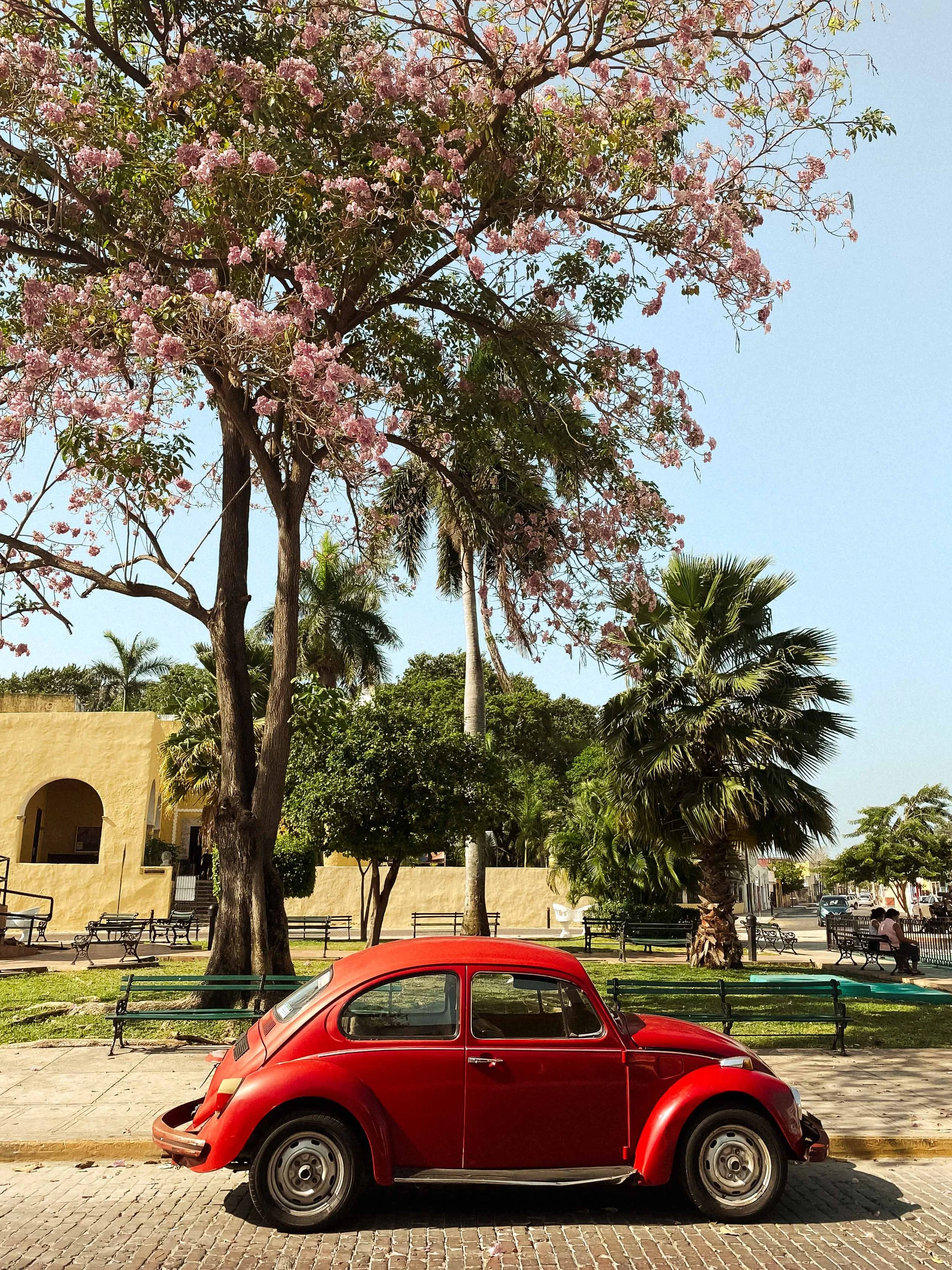 BUGS LIFE MEXICO-2.jpg