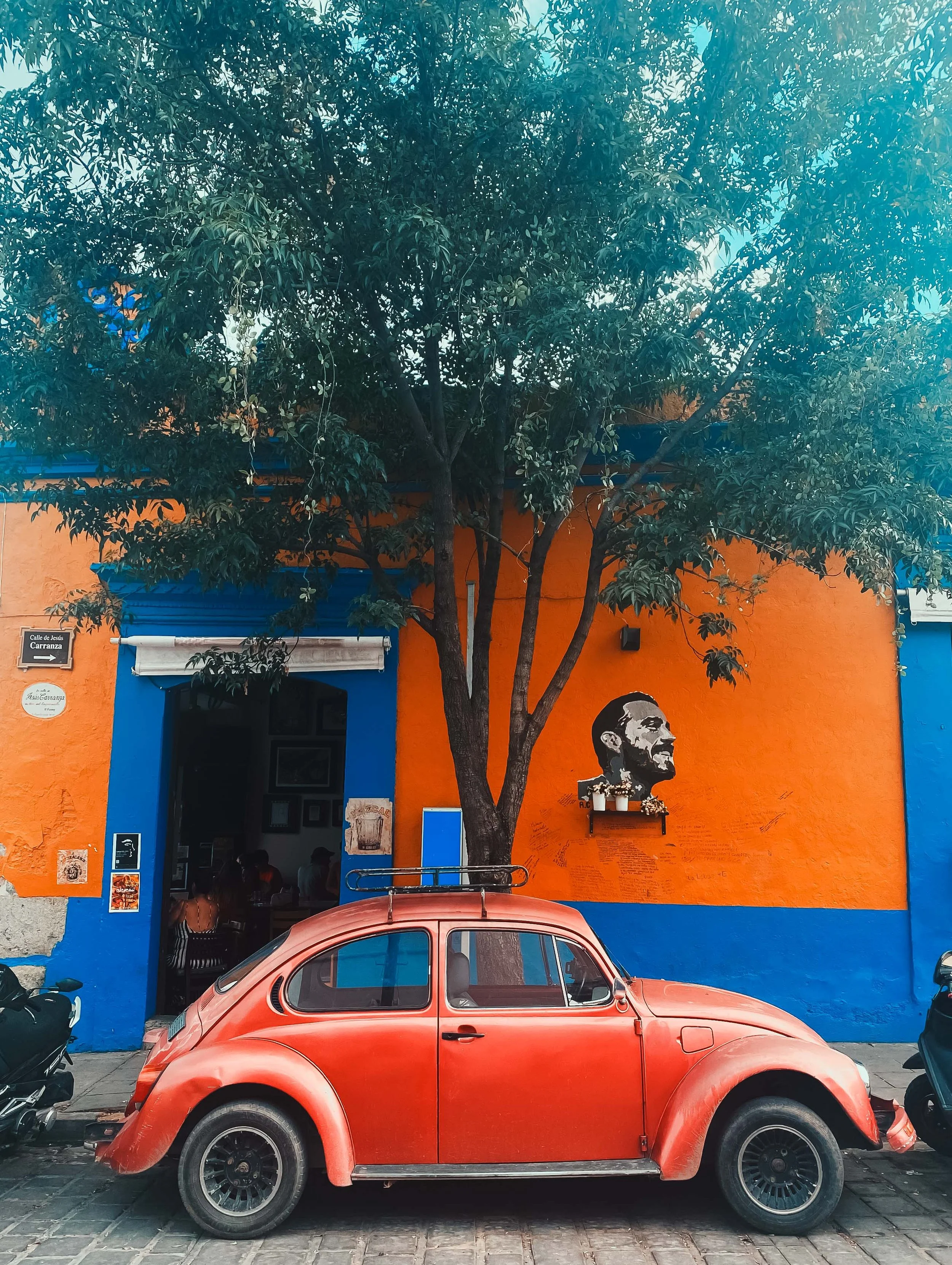 BUGS LIFE MEXICO-5.jpg