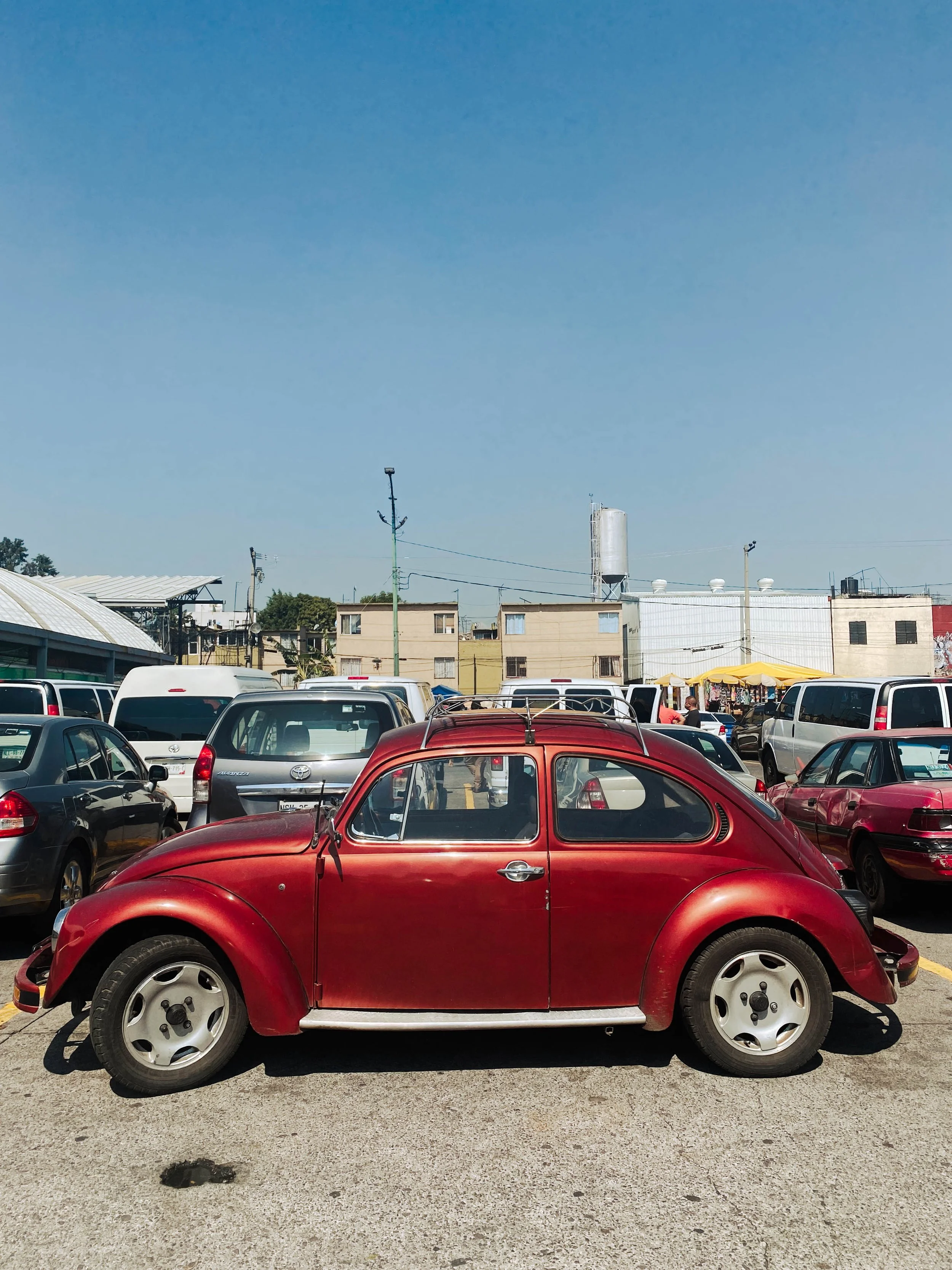 BUGS LIFE MEXICO-3.jpg