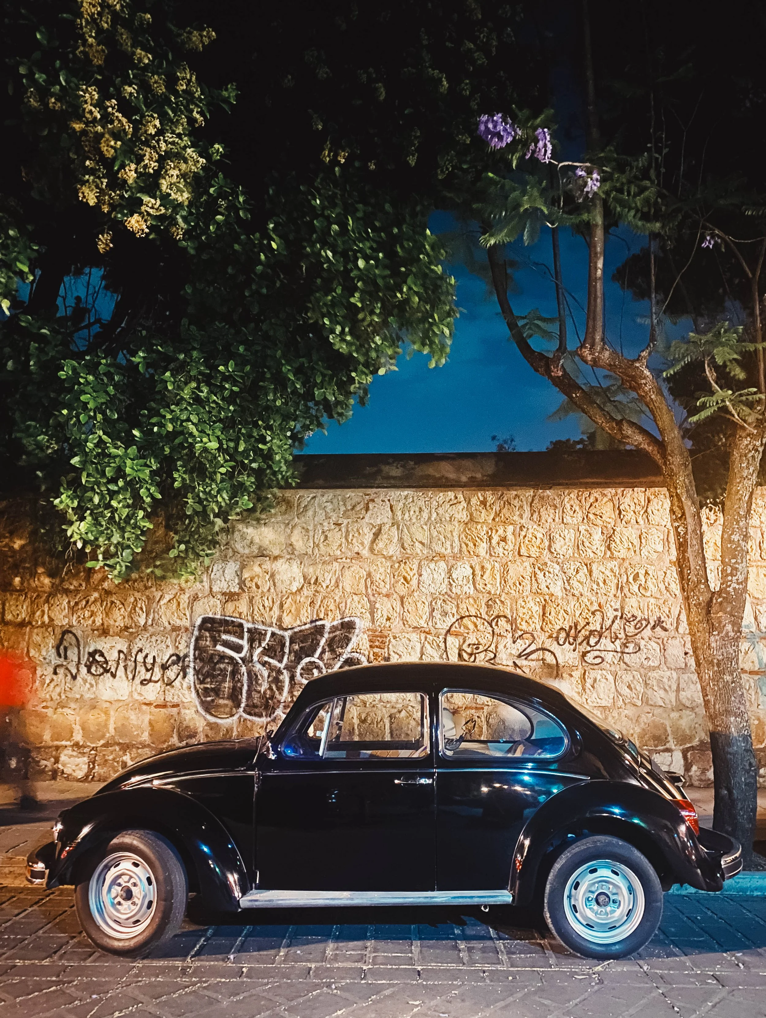 BUGS LIFE MEXICO-6.jpg