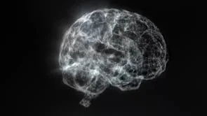 DJSIR - Concussion Management Education Videos 'Trainer'