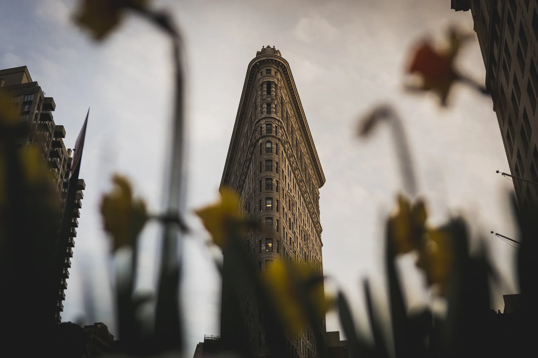15-04-15_New_Sigma_18-35_Lens_Test_01.jpg