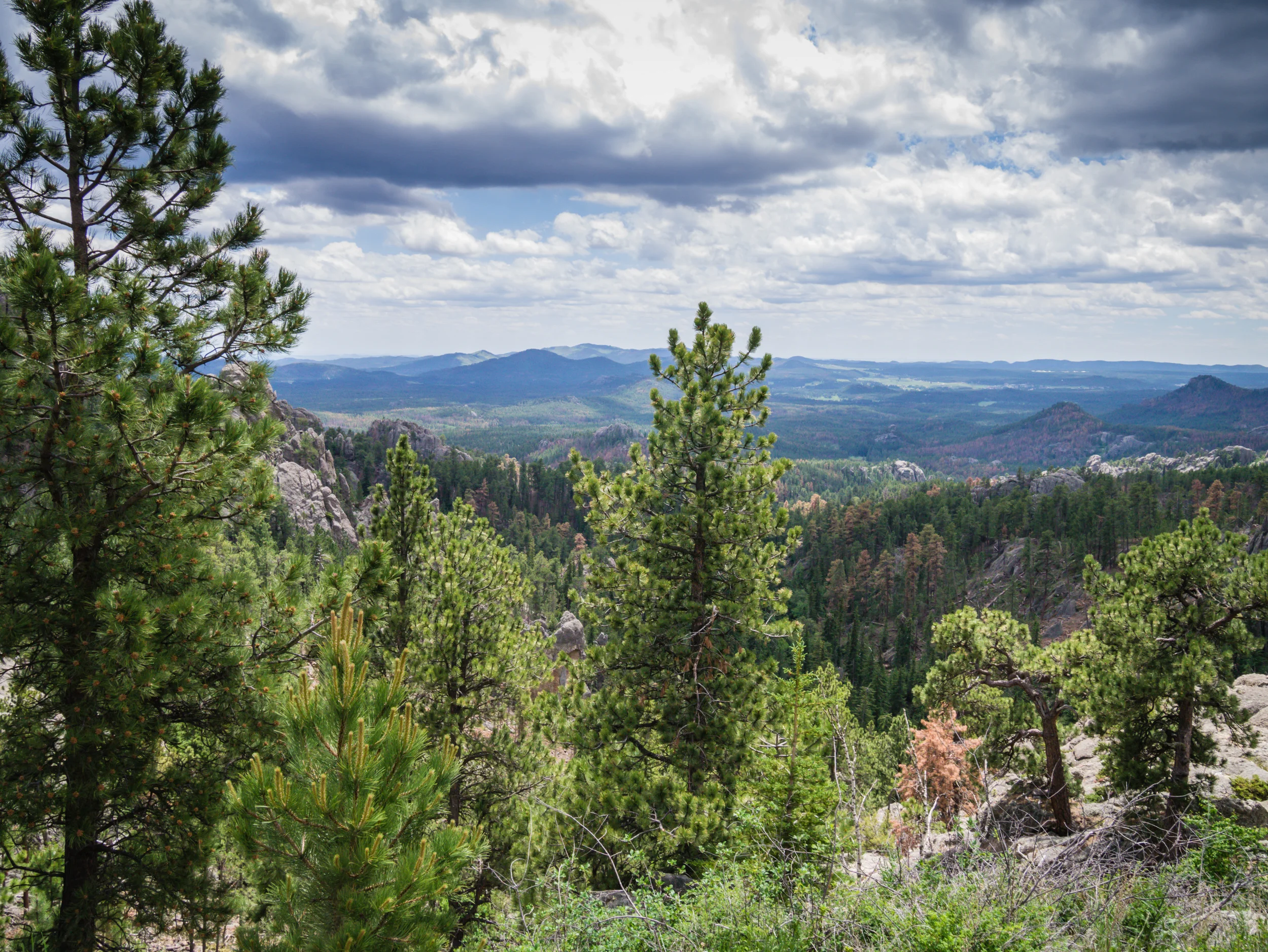 Mt Rushmore-16.jpg