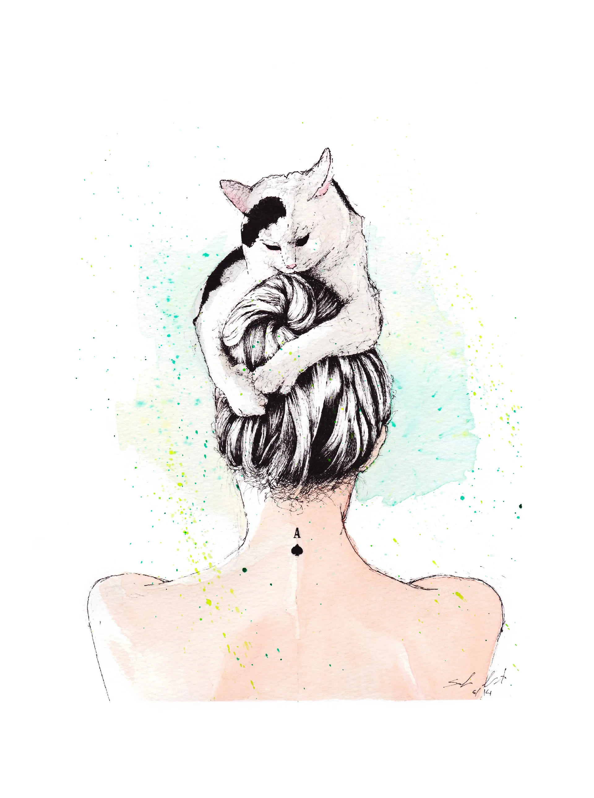 gato.jpg