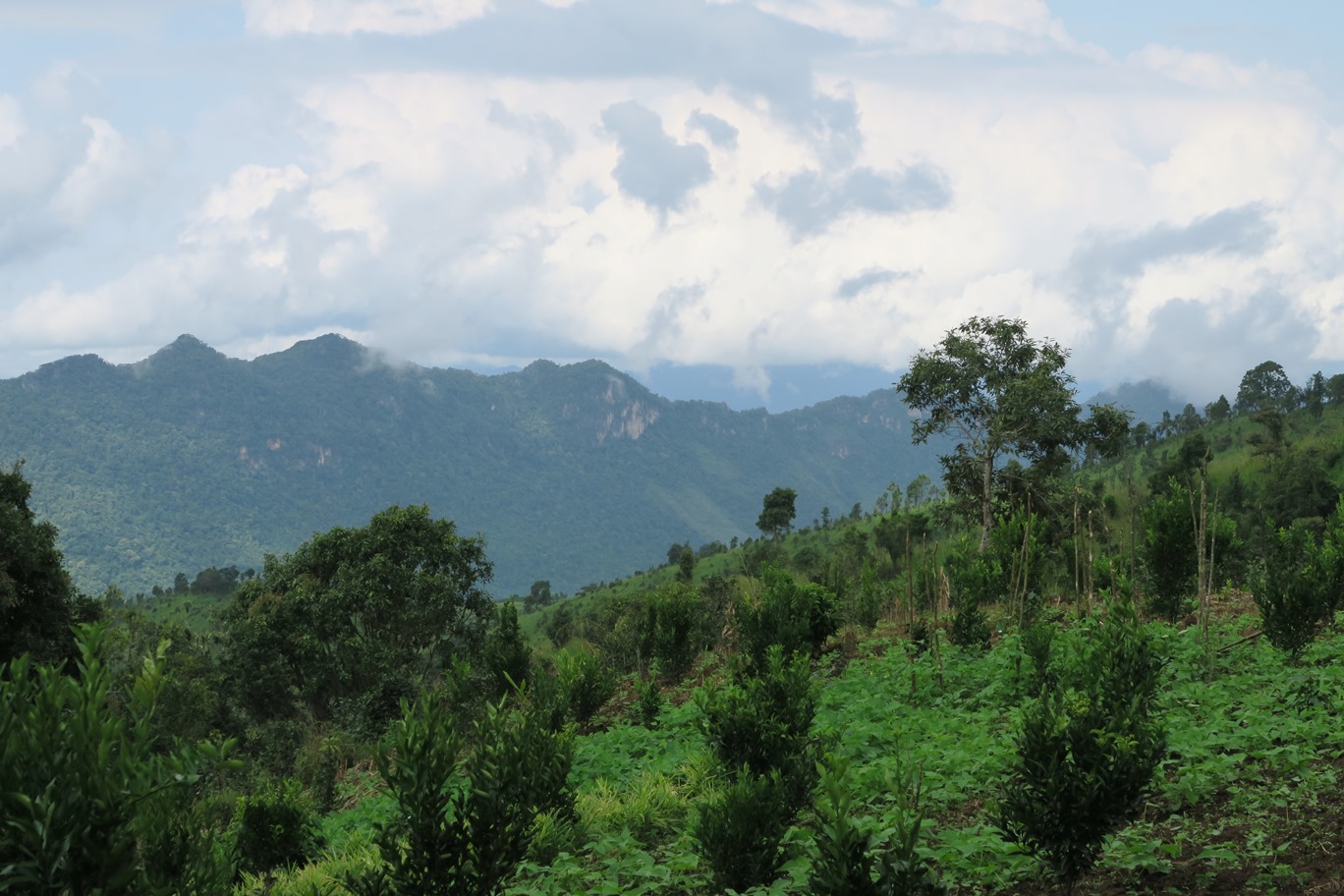 The first section is quite mountainous and very green