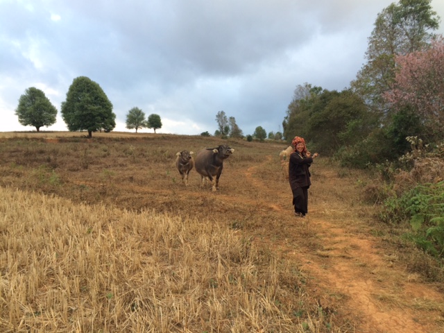 Whereas the second part has more open and runnable terrain