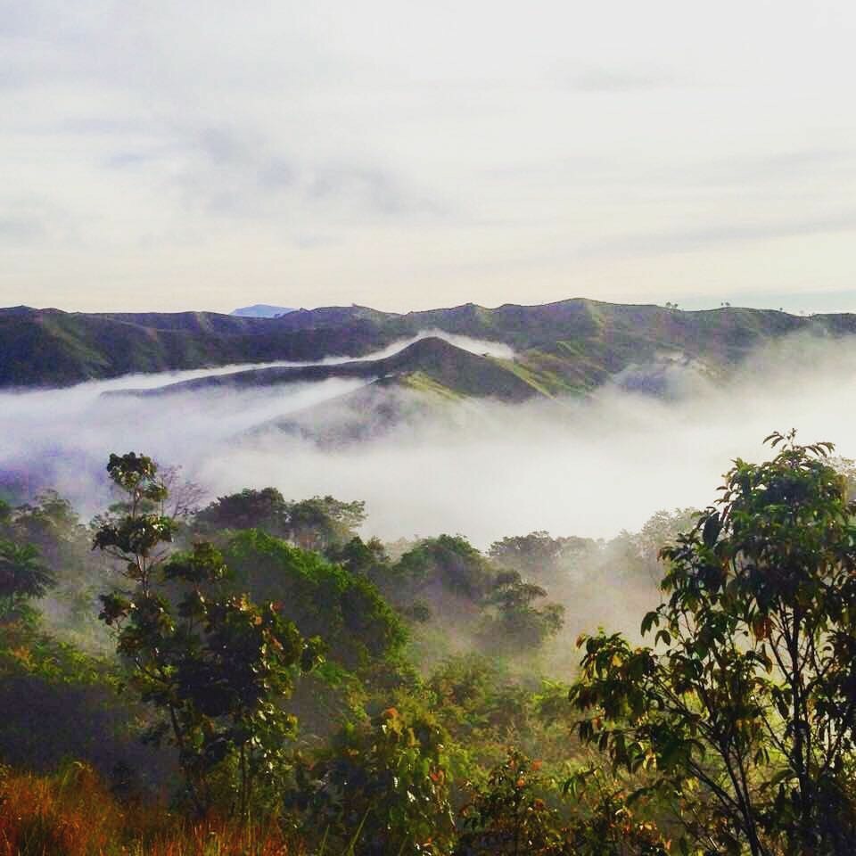 An impression of the Mapawa Nature Park 
