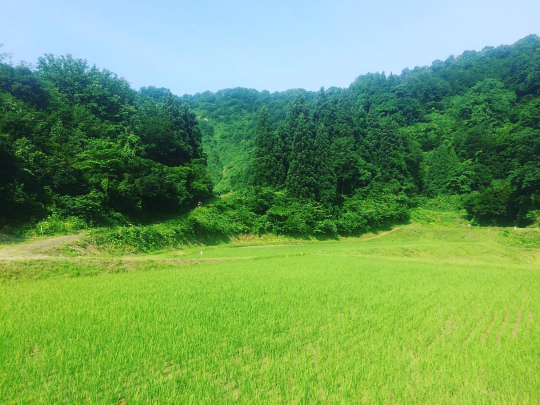 Lots of green around the course of Echigo