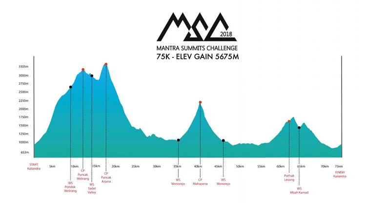 MSC Profile 75k.jpg