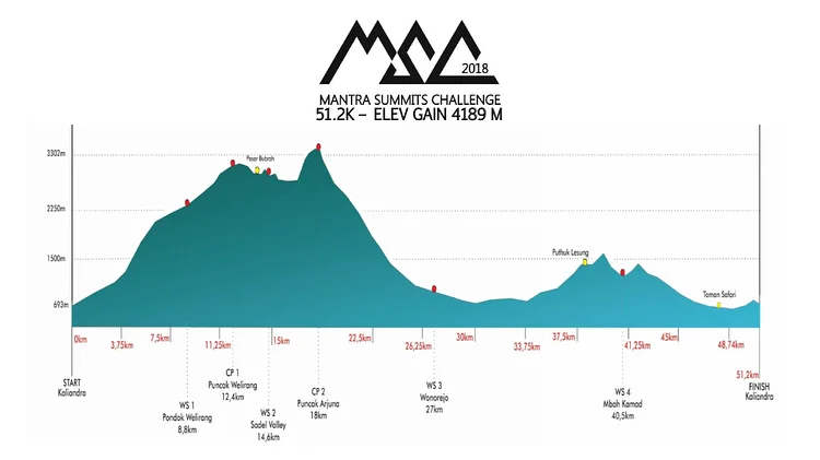 MSC Profile 51K.jpg
