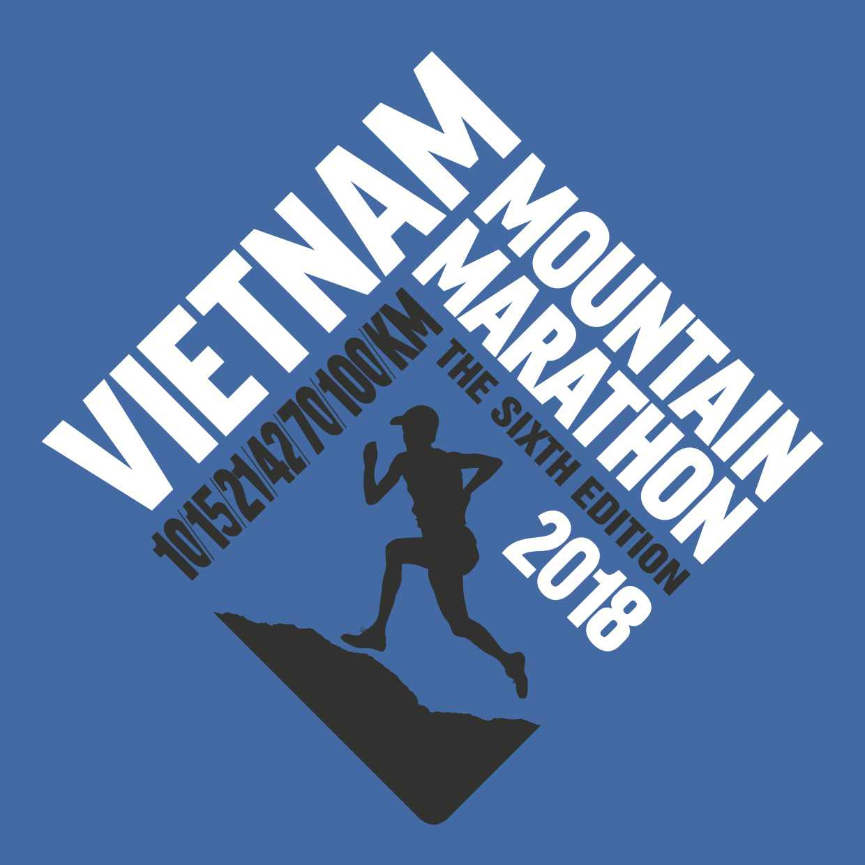 Logo VMM 2018_2.png