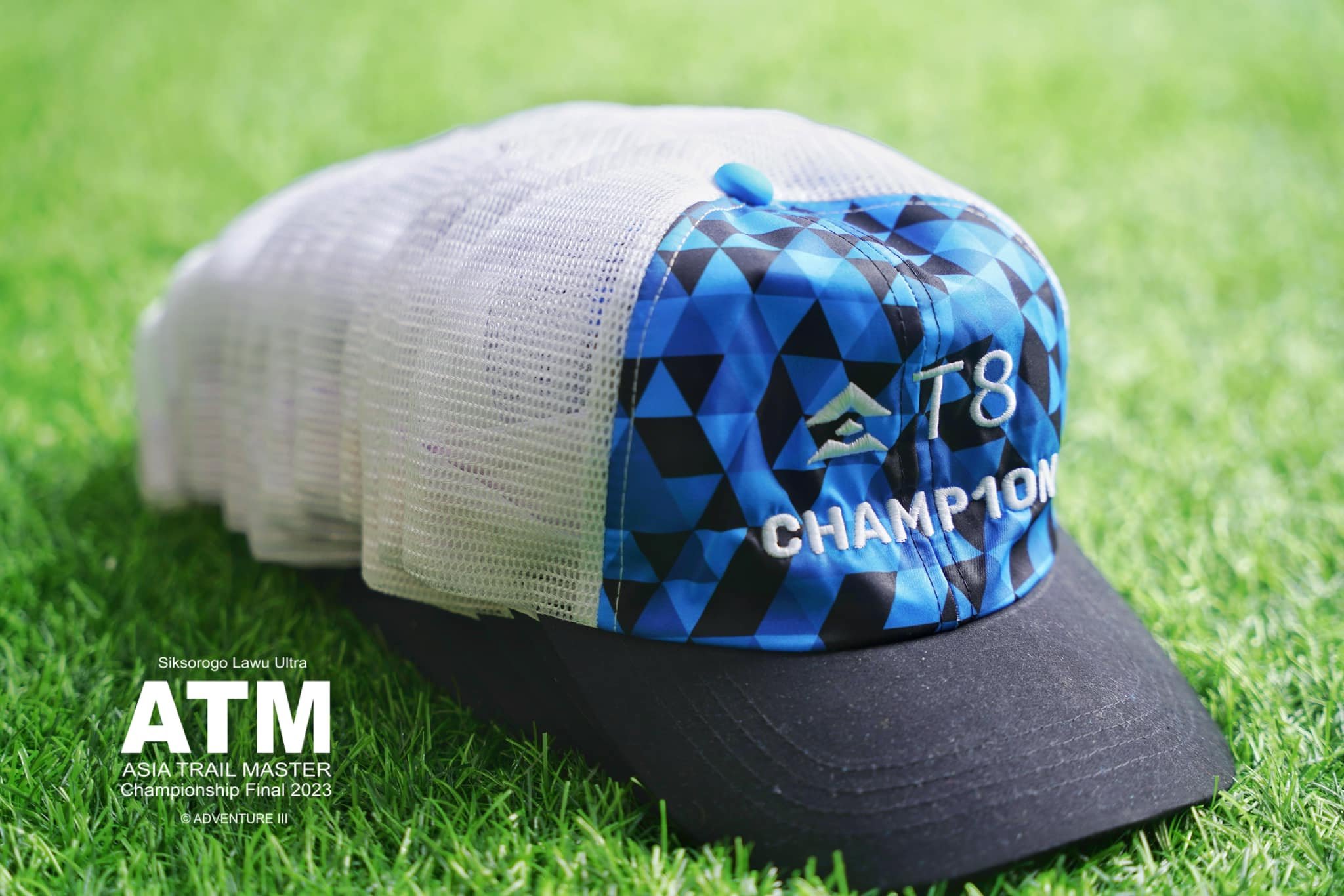 T8 champions cap.jpg