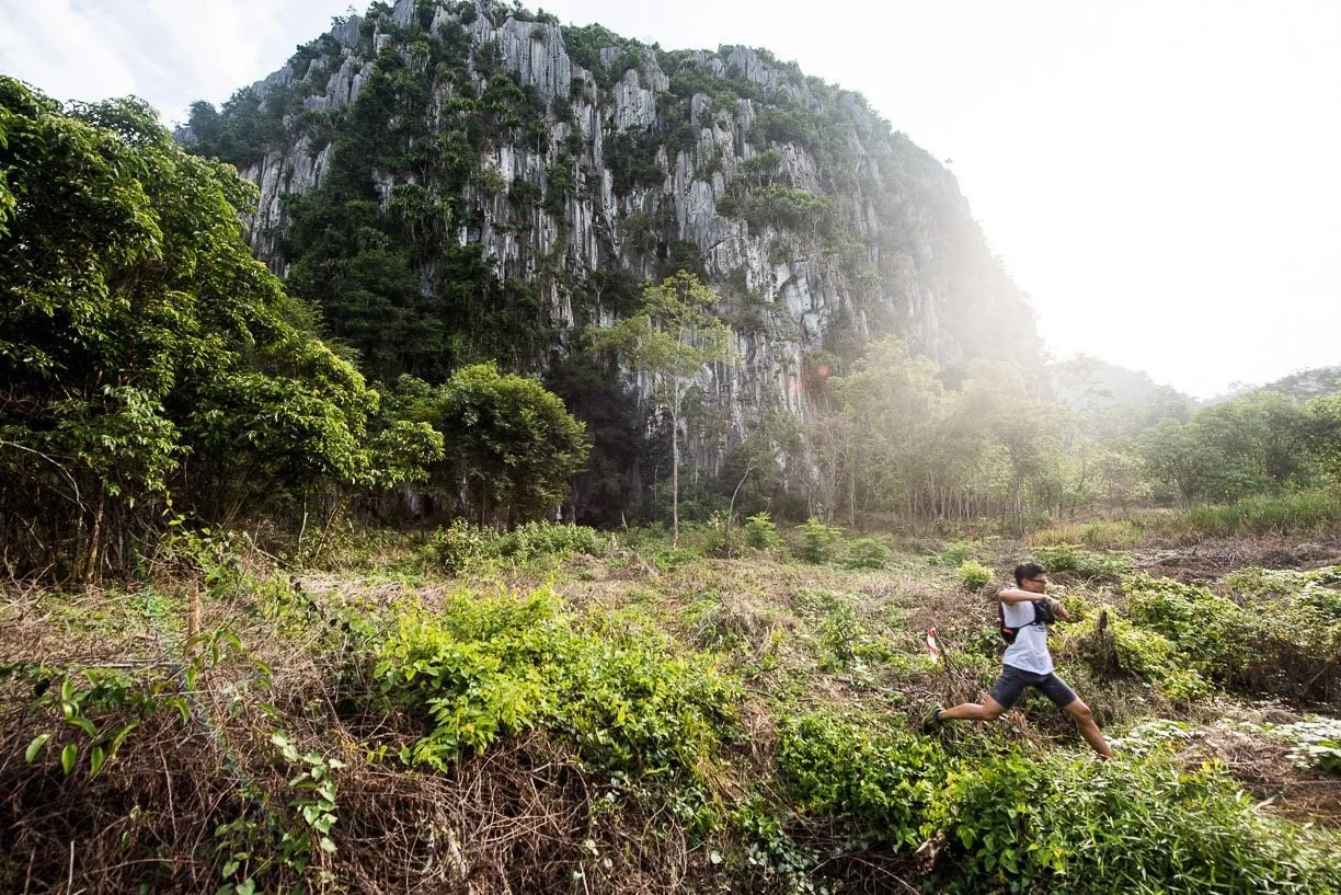 Merapoh Rainforest Trail enters the ATM Grandmaster Quest calendar ...