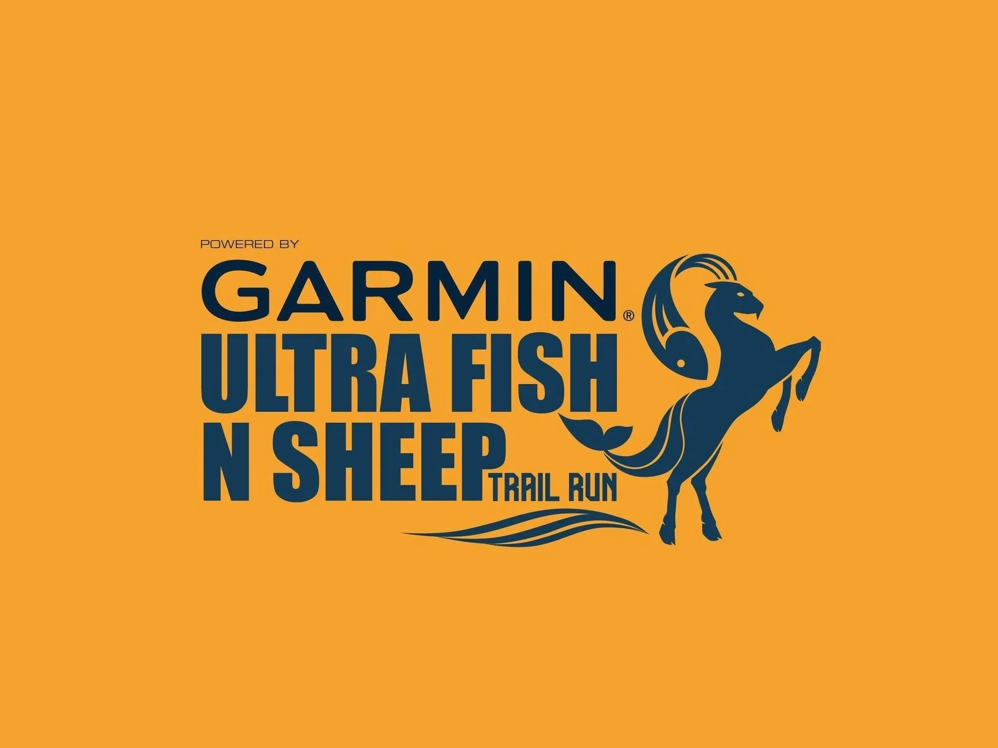 fish n sheep logo 2026.jpg