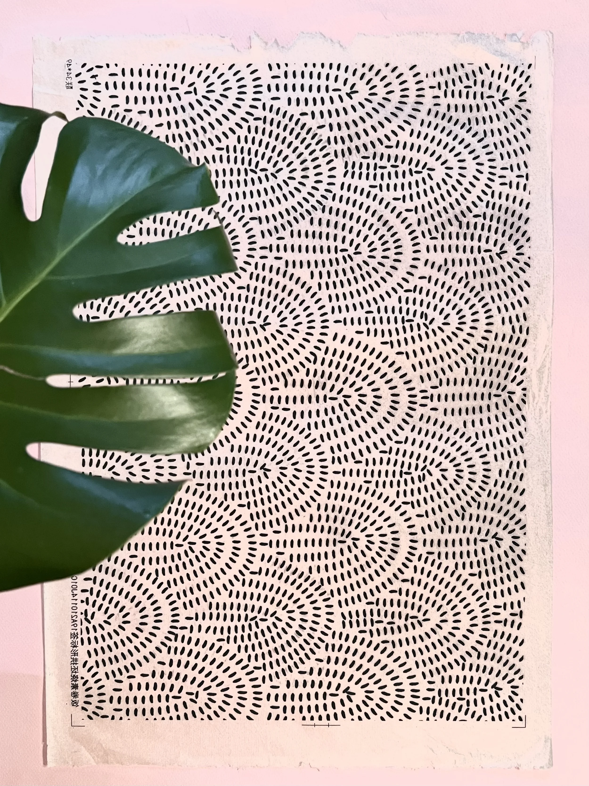 TALLY ARCH Tissue Transfer by Catie Miller / BLACK