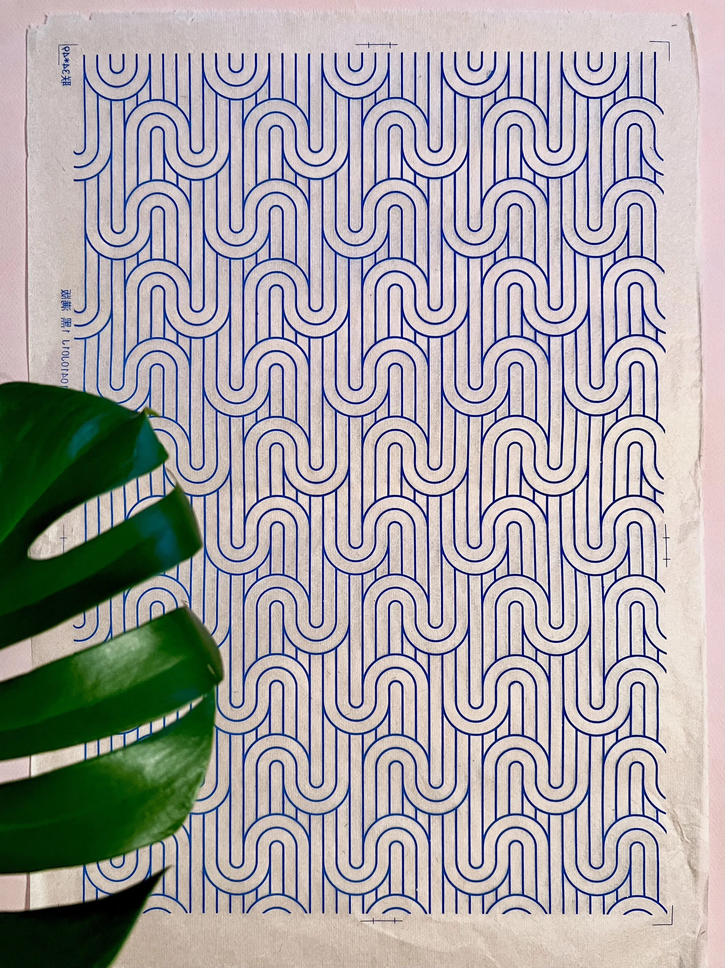 OLAS Tissue Transfer / BLUE