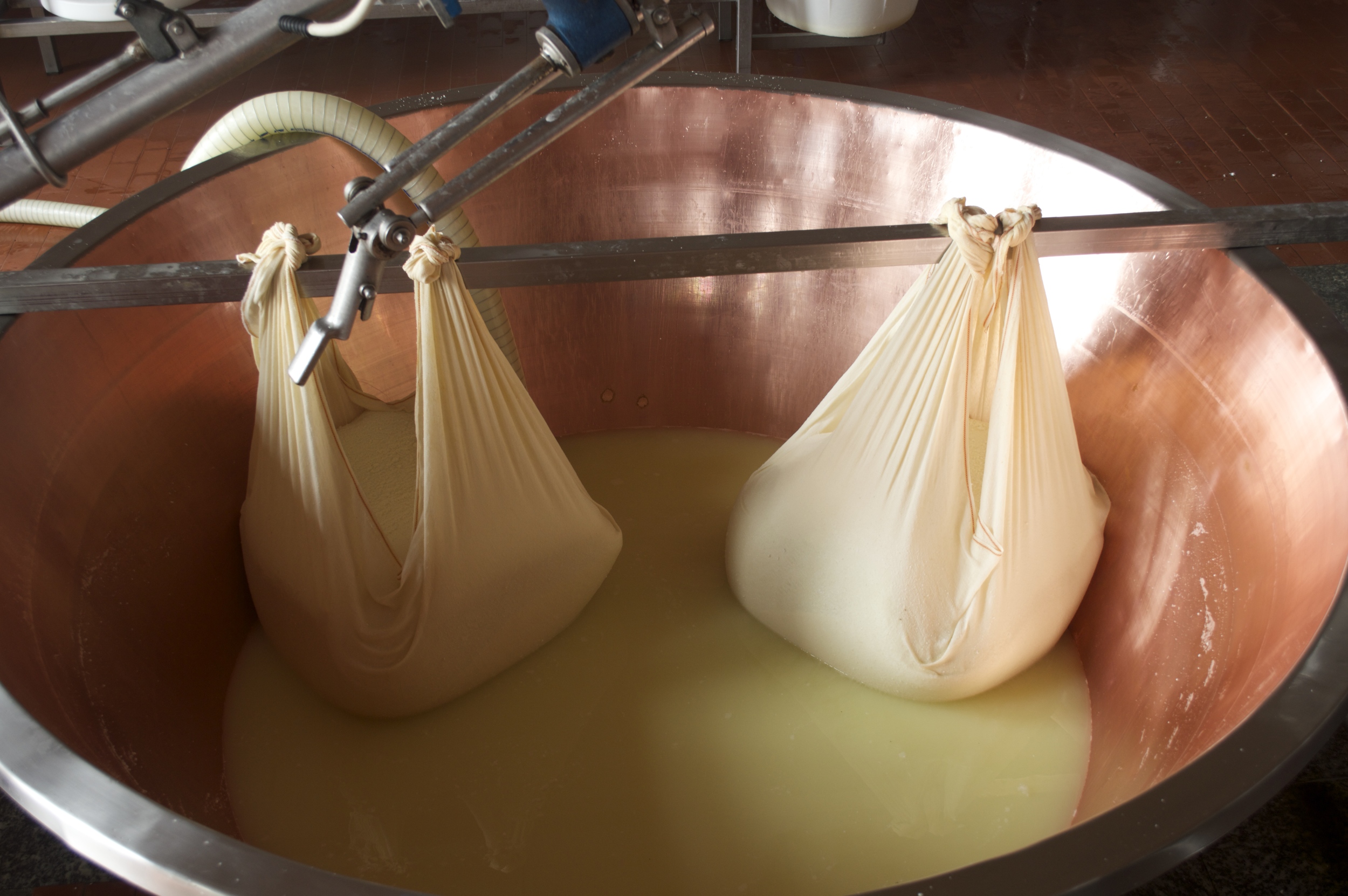 a cheese is born!