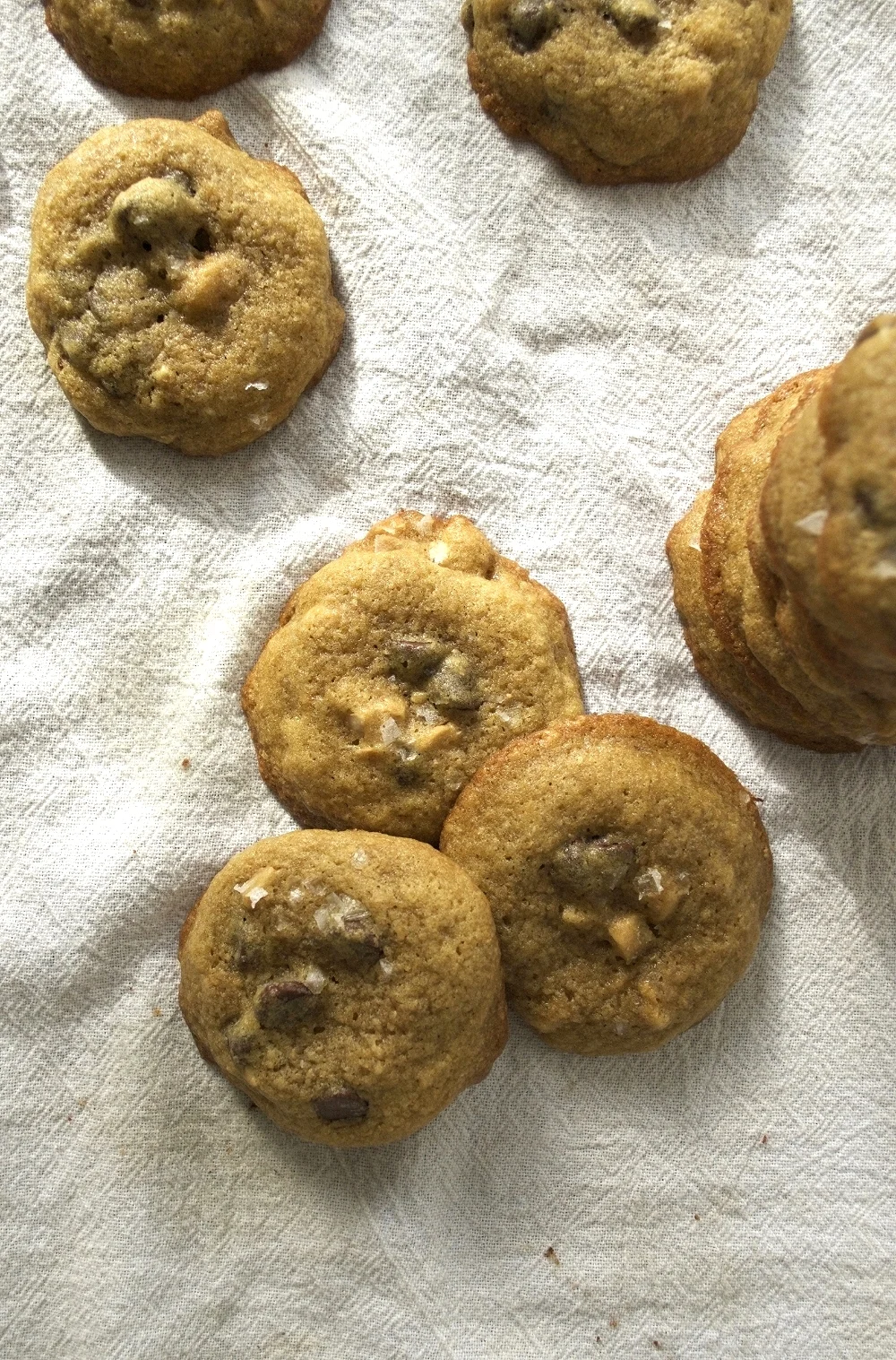 salted chocolate chip and cashew cookies