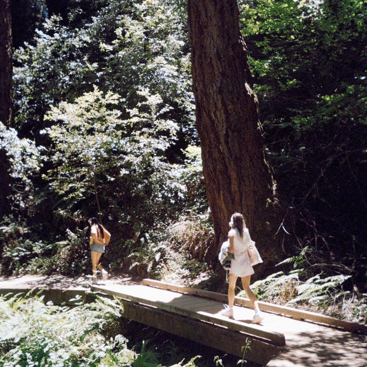 Wearing a tunic I made inspired solely by the one n&rsquo; only, ❣️Twiggy❣️
&amp; missing Forrest bathing in Muir Woods :&rsquo;(

- Lazu 🎖