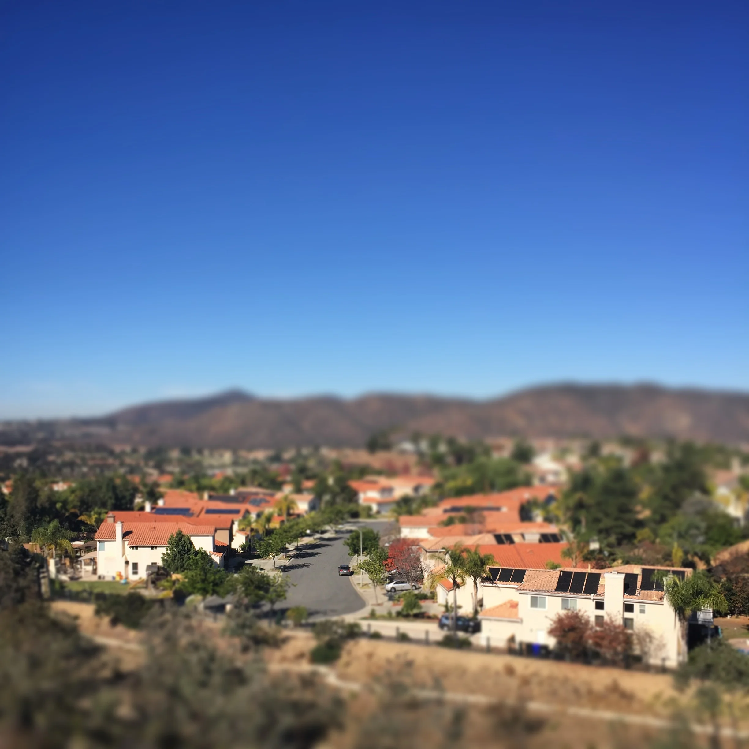  Suburbia 