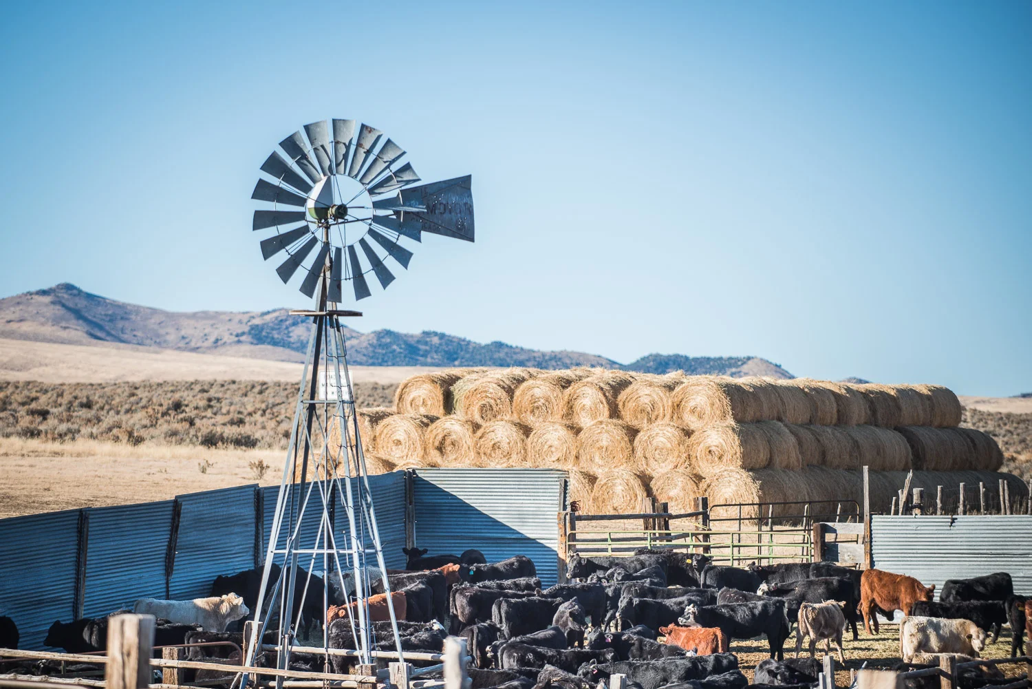 Ranchers1-Landscape-Editorial-Photography