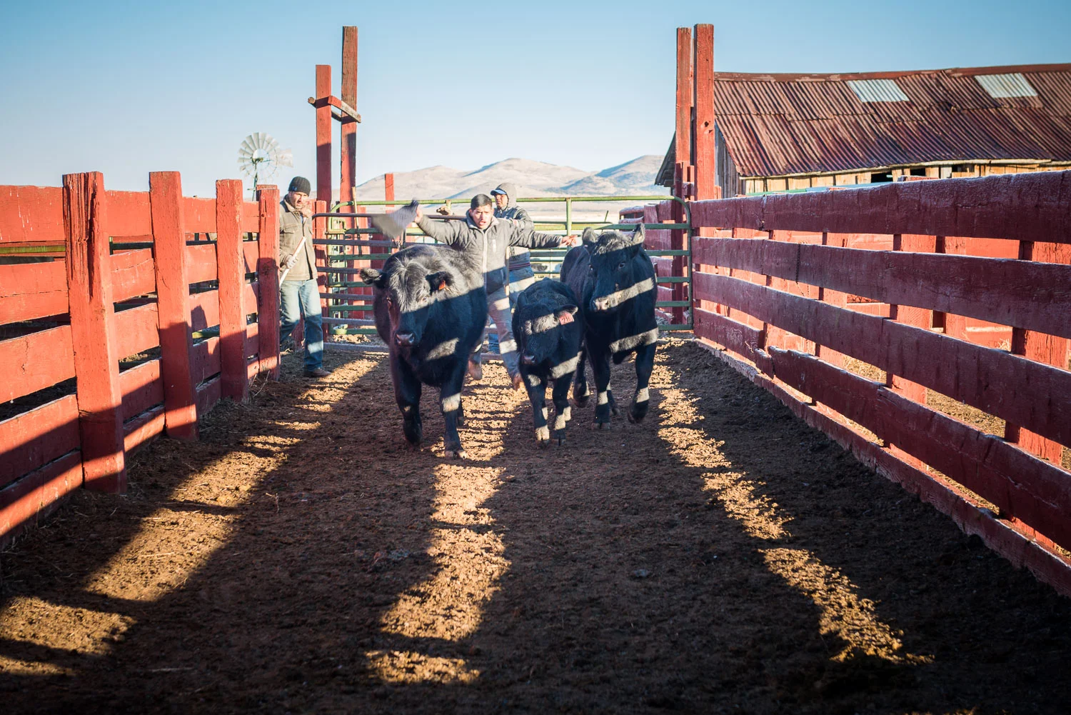 Ranchers6-Landscape-Editorial-Photography
