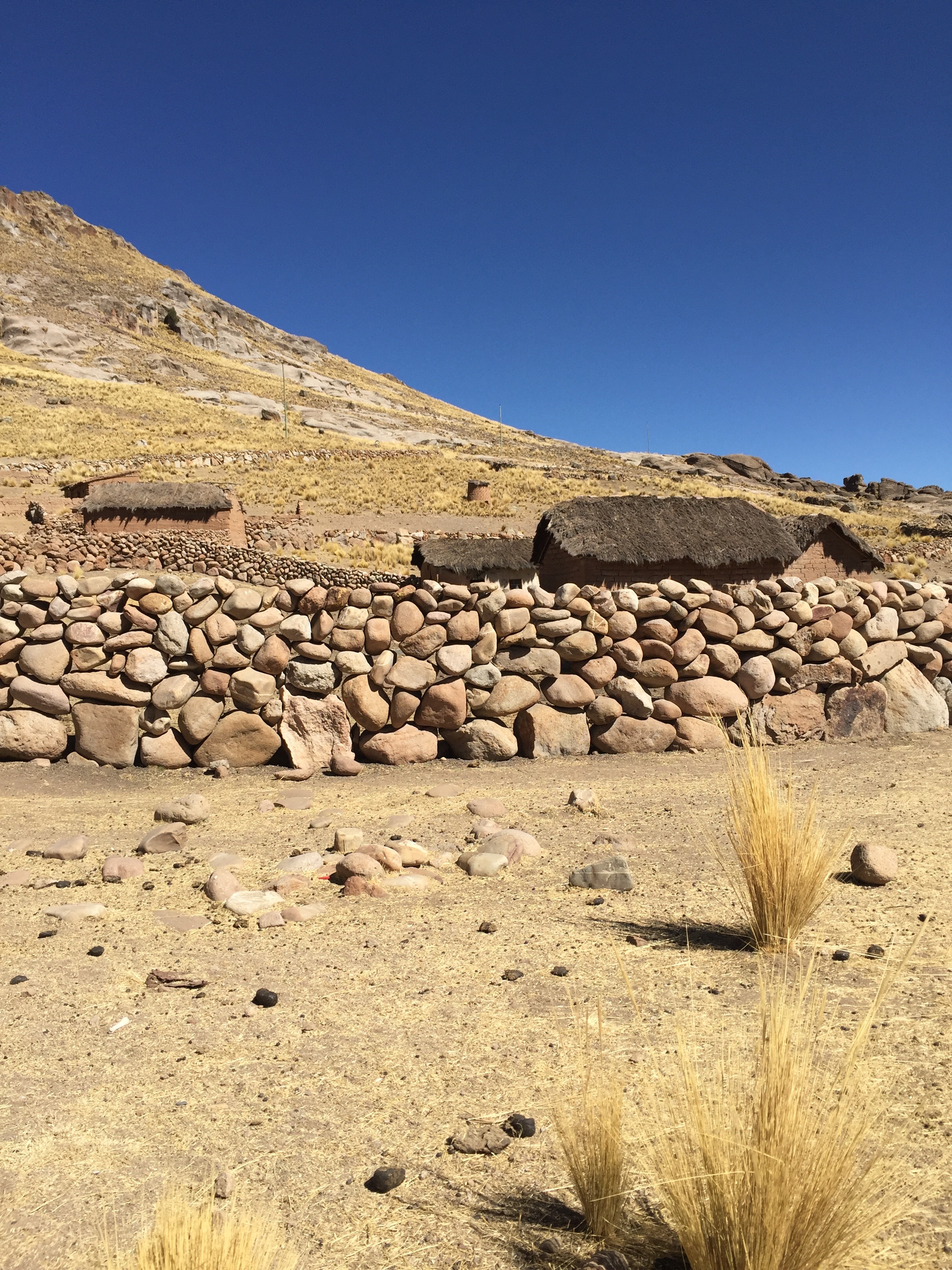 Dry joint stone masonry walls serve as llama pens among the thatched roof adobe homes of the Indigenous village of Coiyuma at 13,000+ feet. Coiyuma, Bolivia