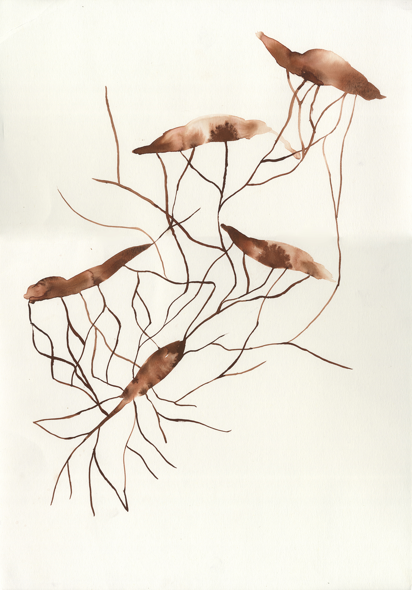 Ink on paper, 29.7 x 42.0cm, 2014
