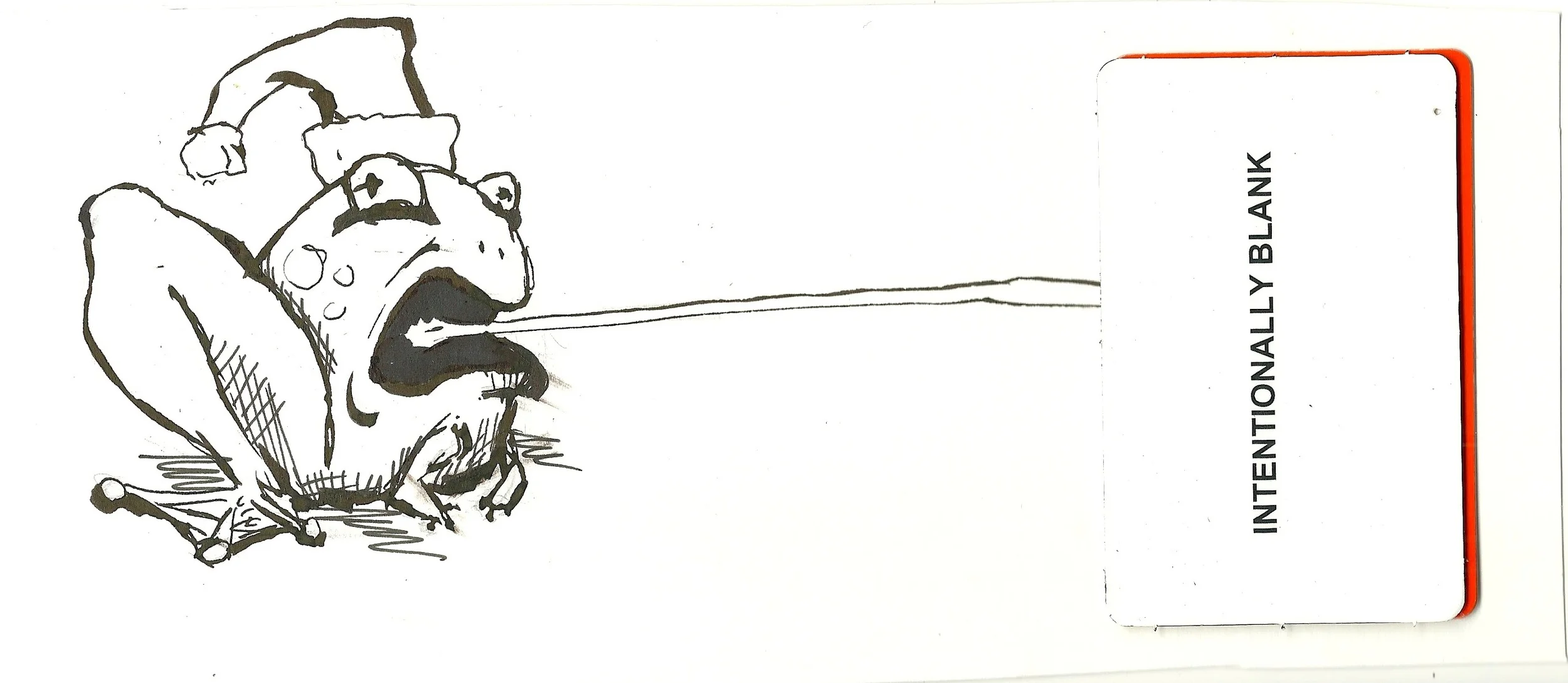 frog 2.jpeg