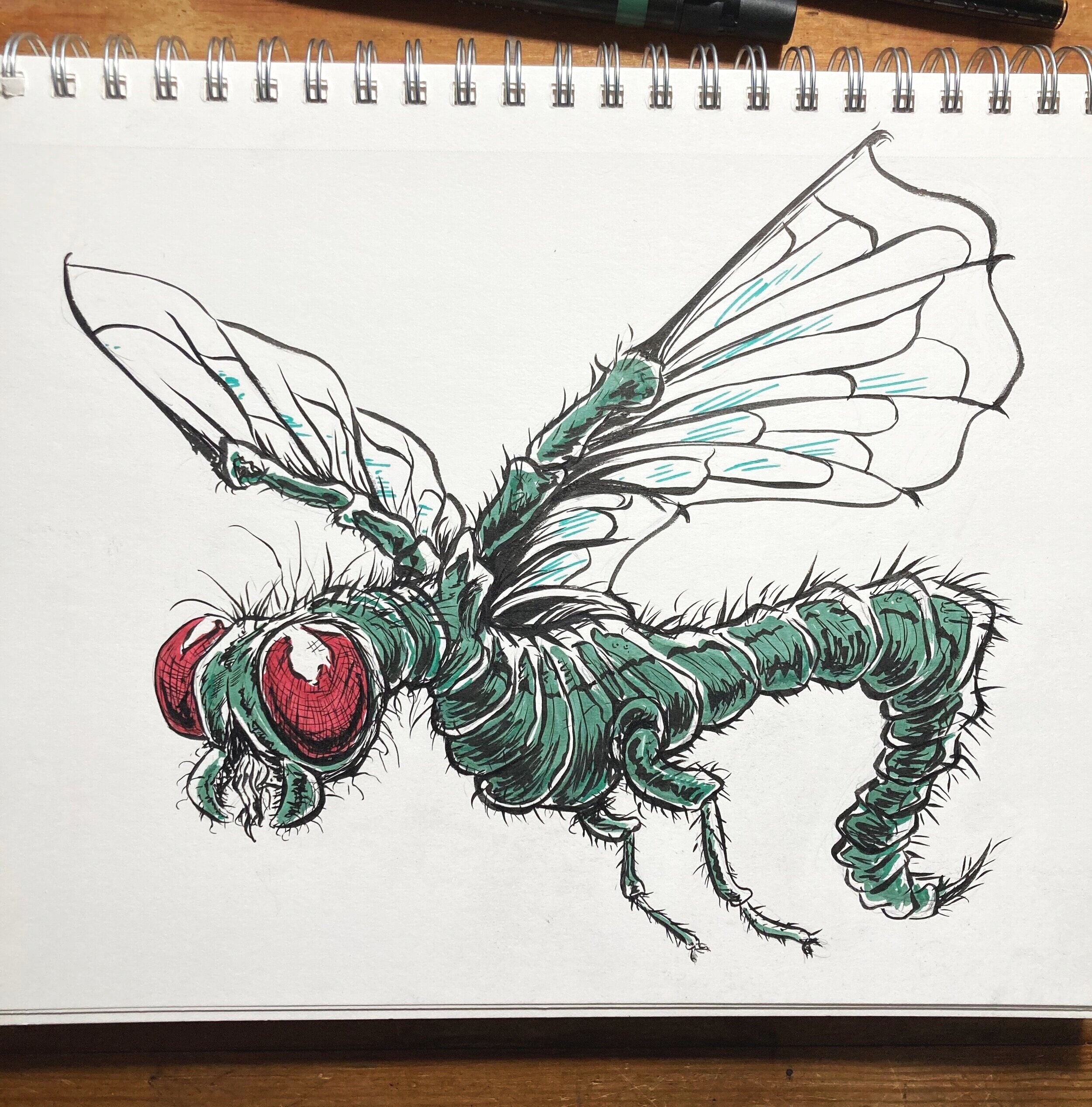  Inktober52: Dragonfly 