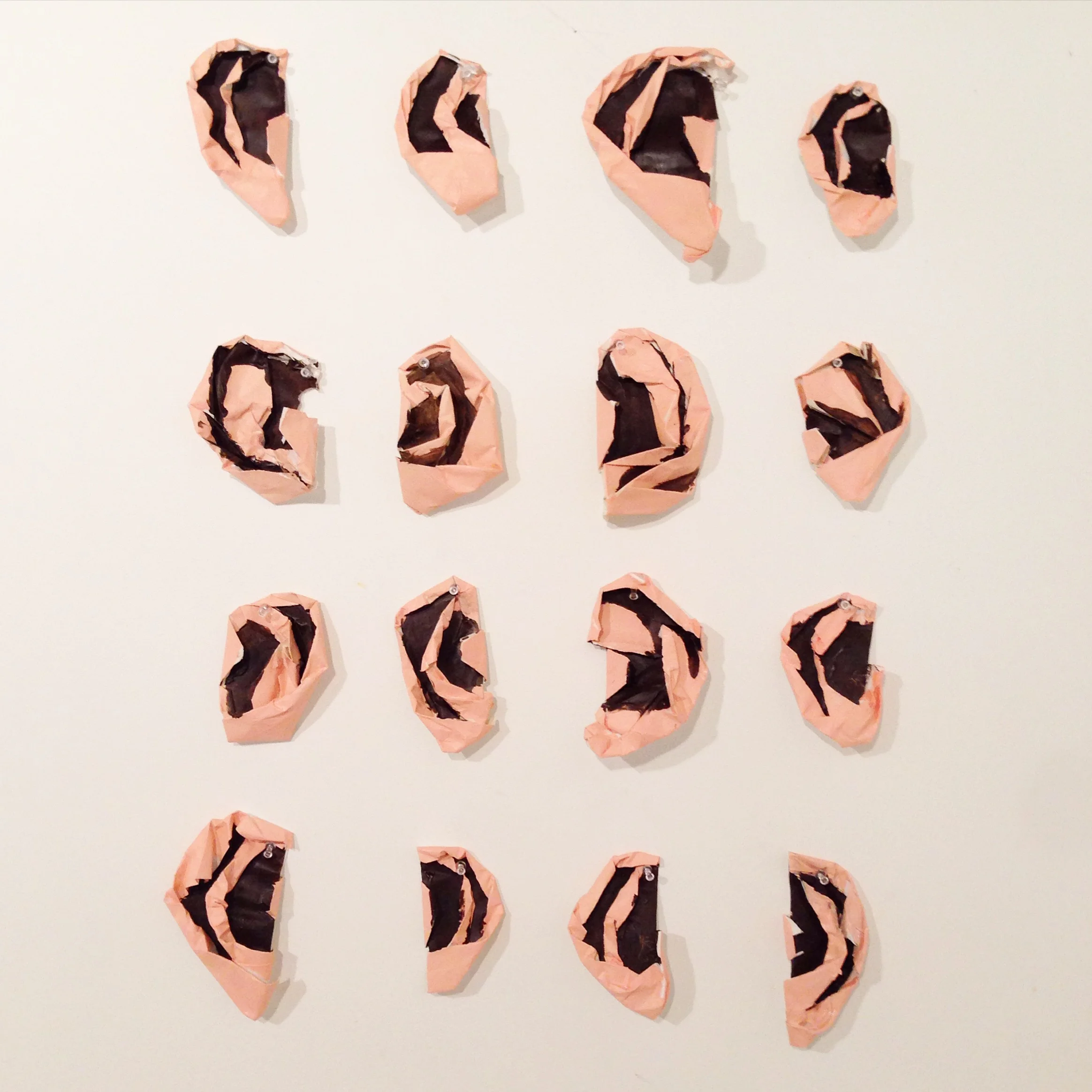   ears  paper, acrylic 2016 