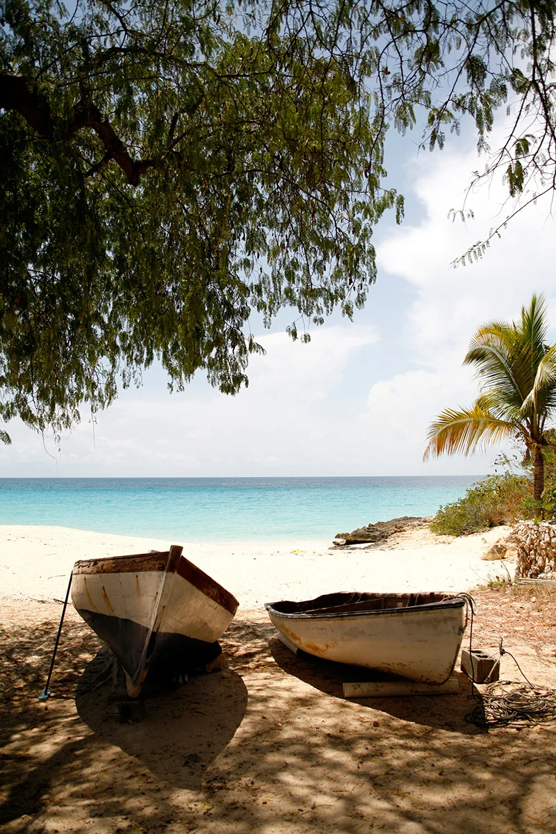 Two small boats on the sandy beach under shade of trees, overlooking the ocean with a partly cloudy sky.