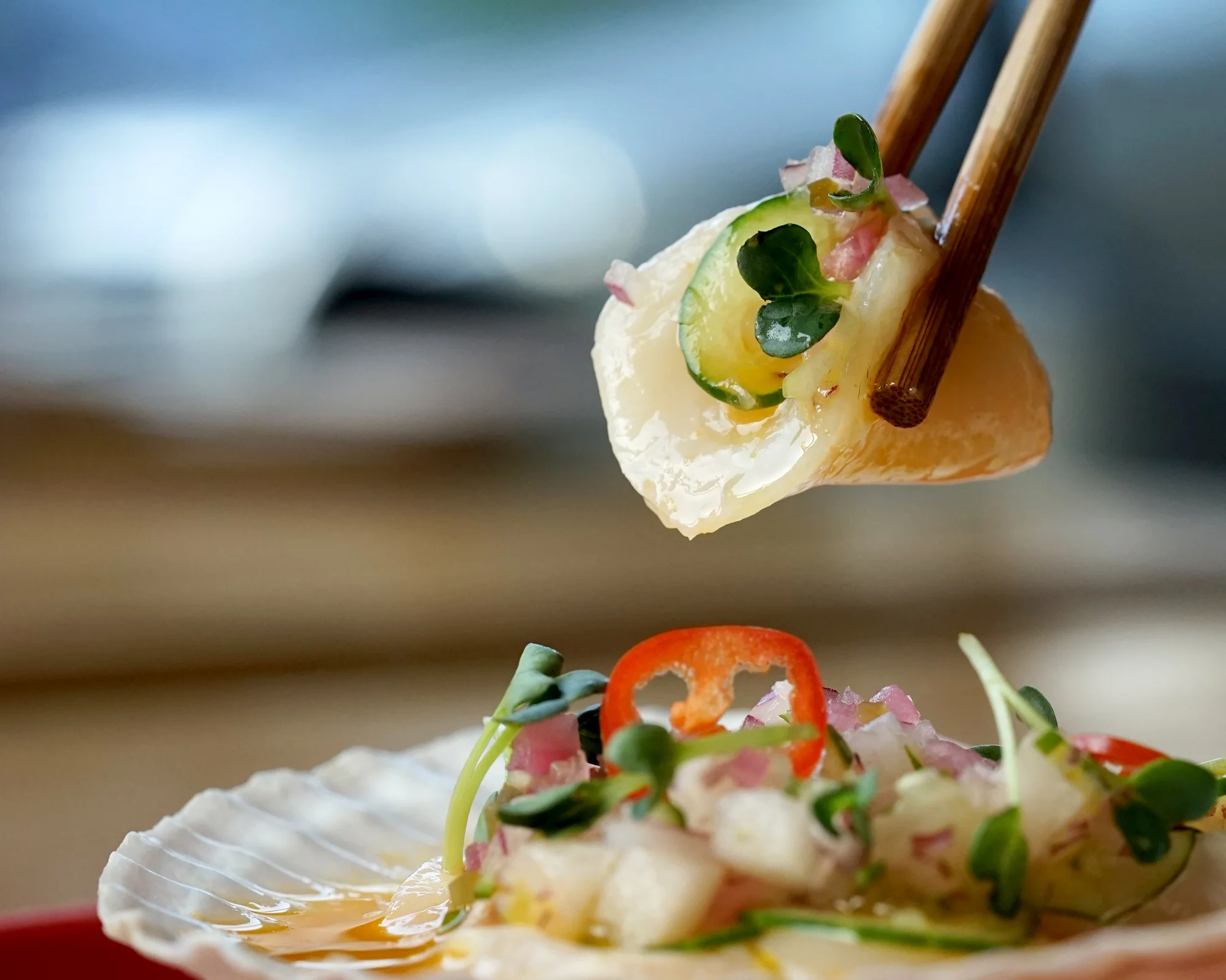 StephanieJung_CHINO_AguaChile_3116.jpg