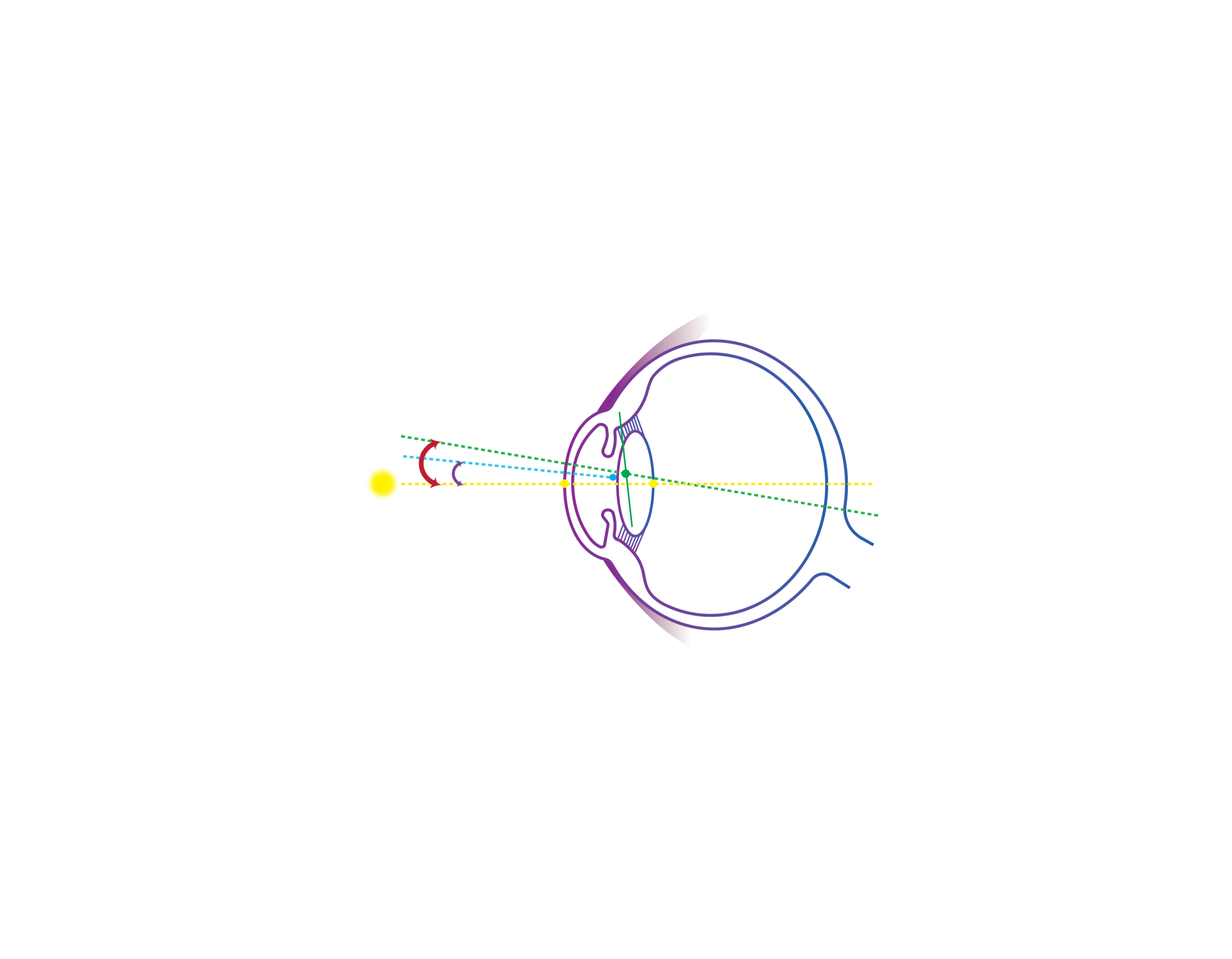 Topcon_Eye_axis-02.png
