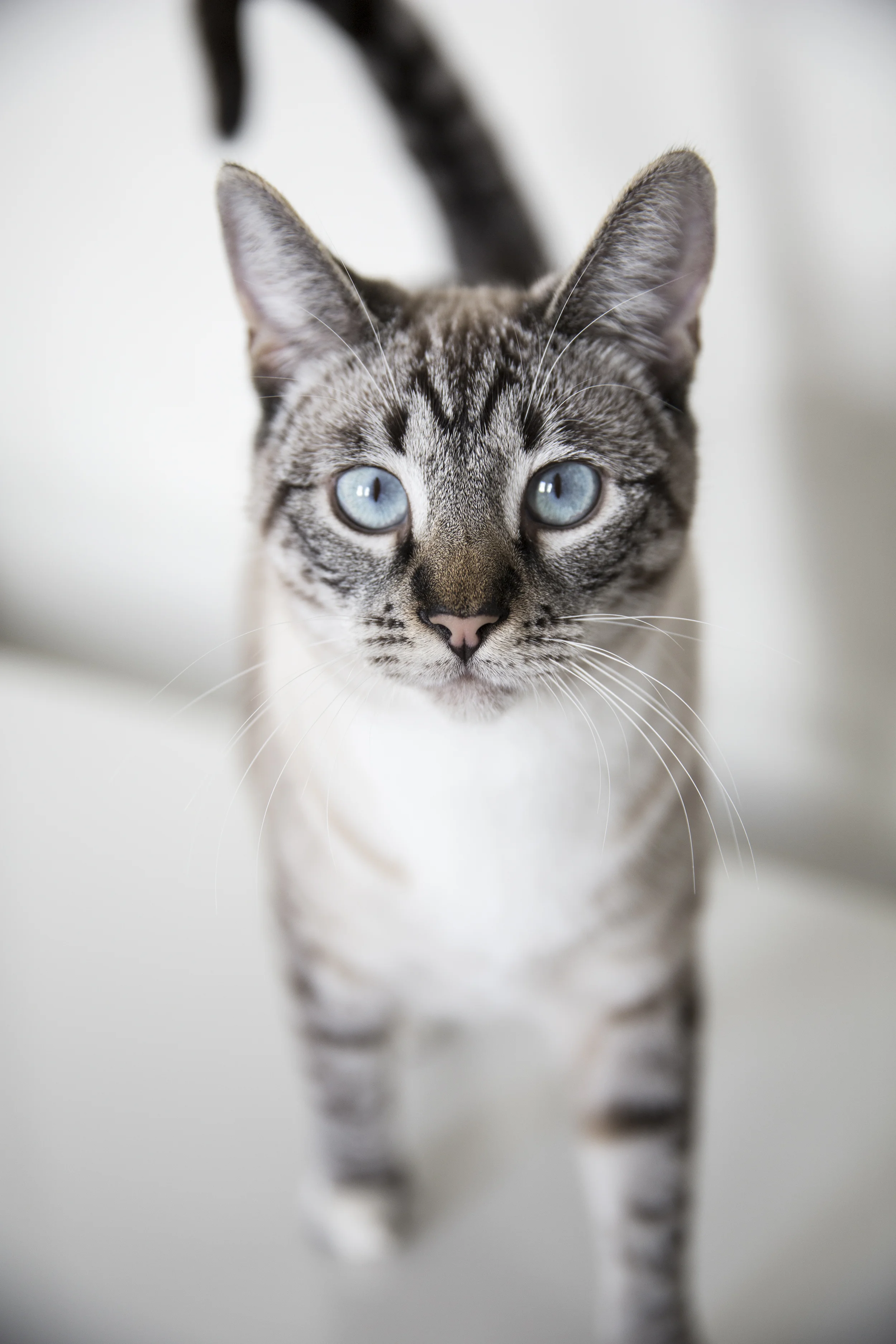luna2small.jpg
