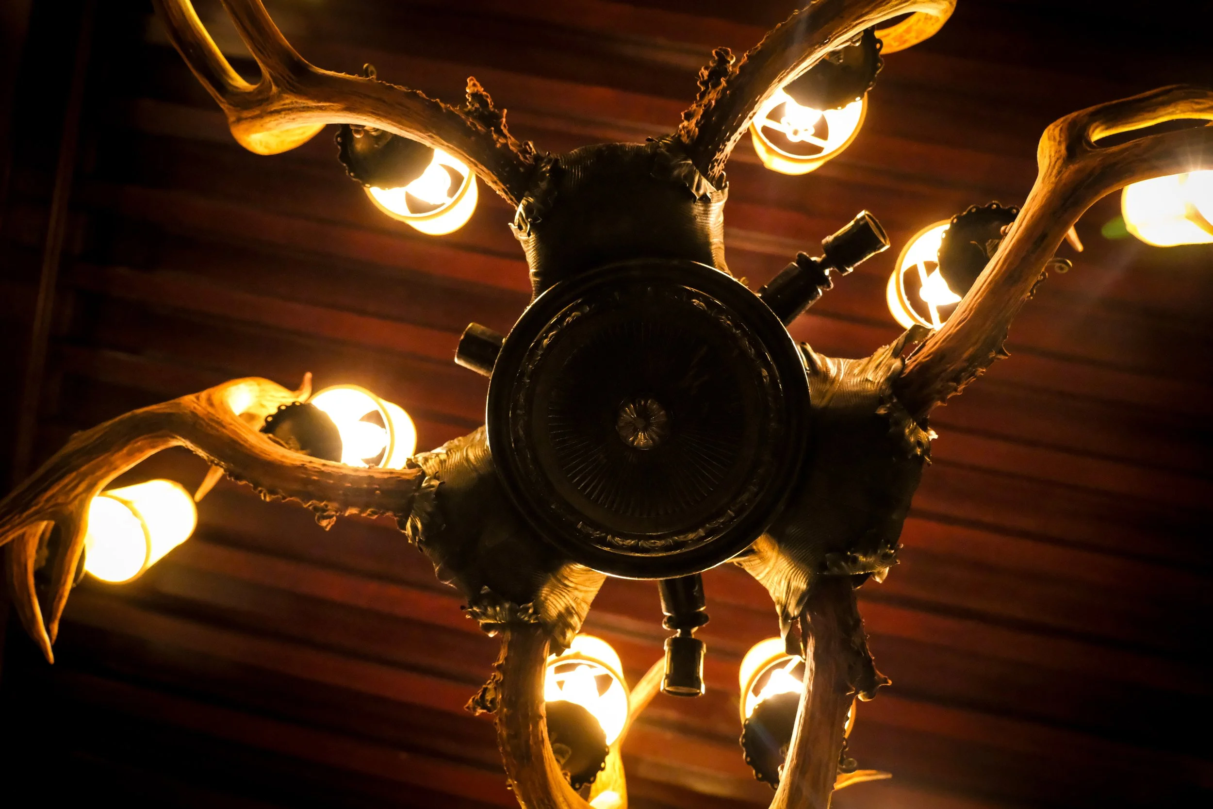 NYCMS 031326  012.jpg