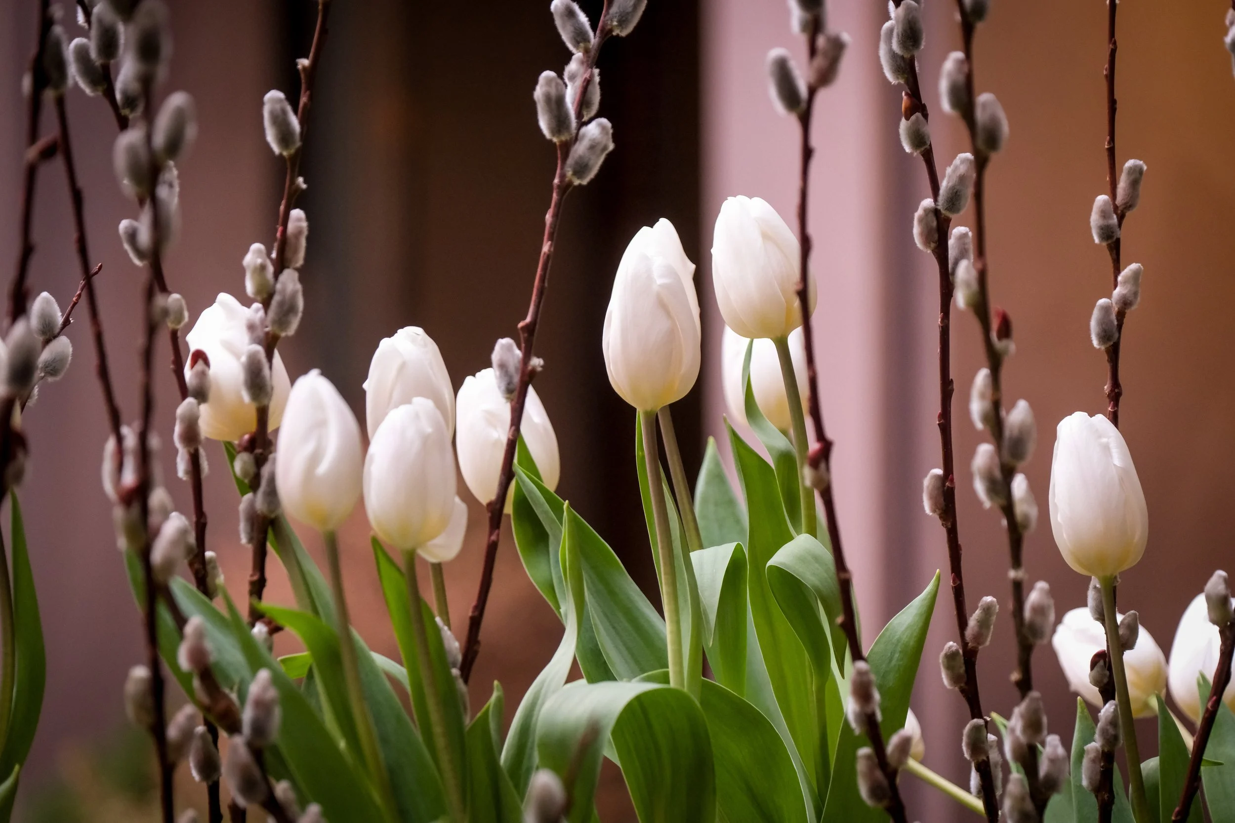 NYCMS 031326  043.jpg