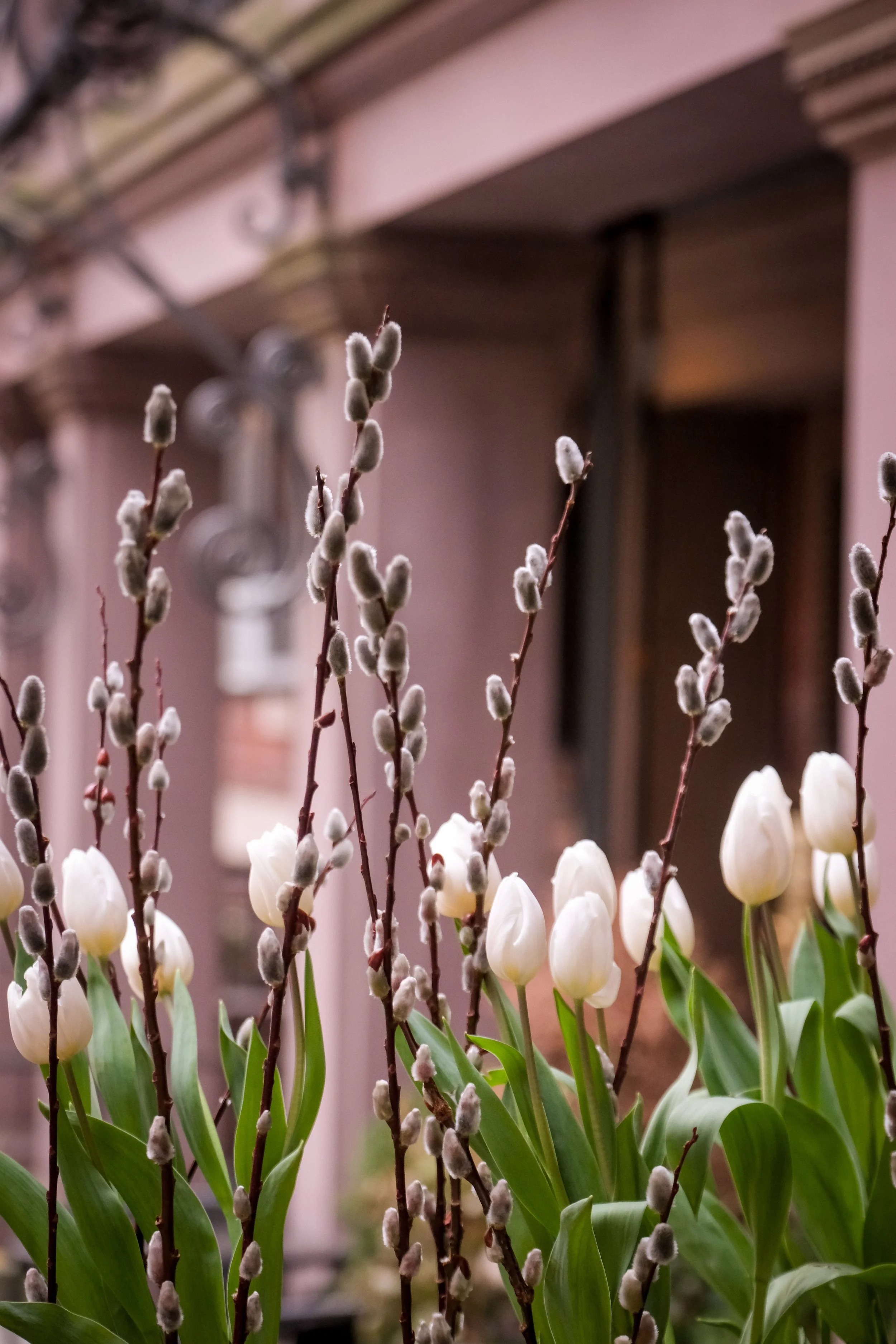 NYCMS 031326  044.jpg