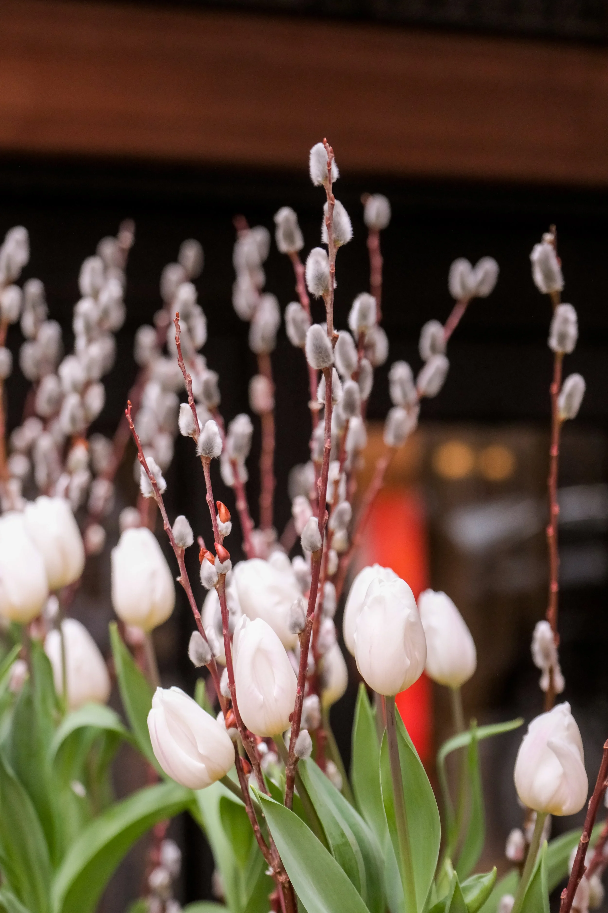 NYCMS 031326  045.jpg