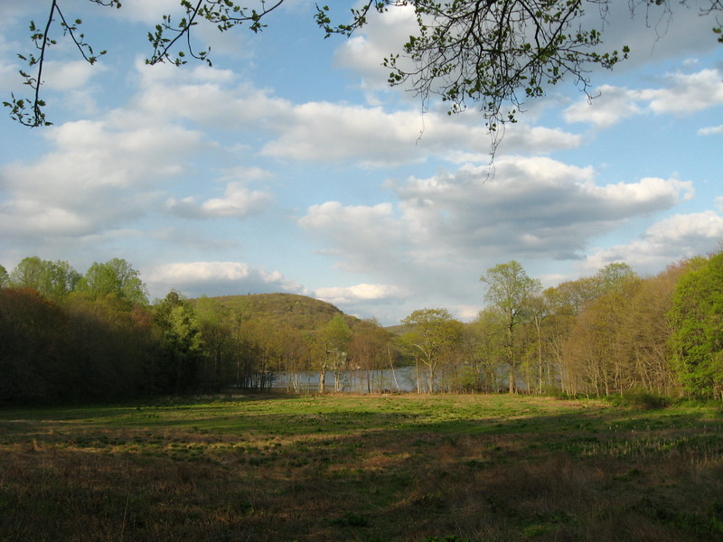 Long Pond in spring 2008.jpg